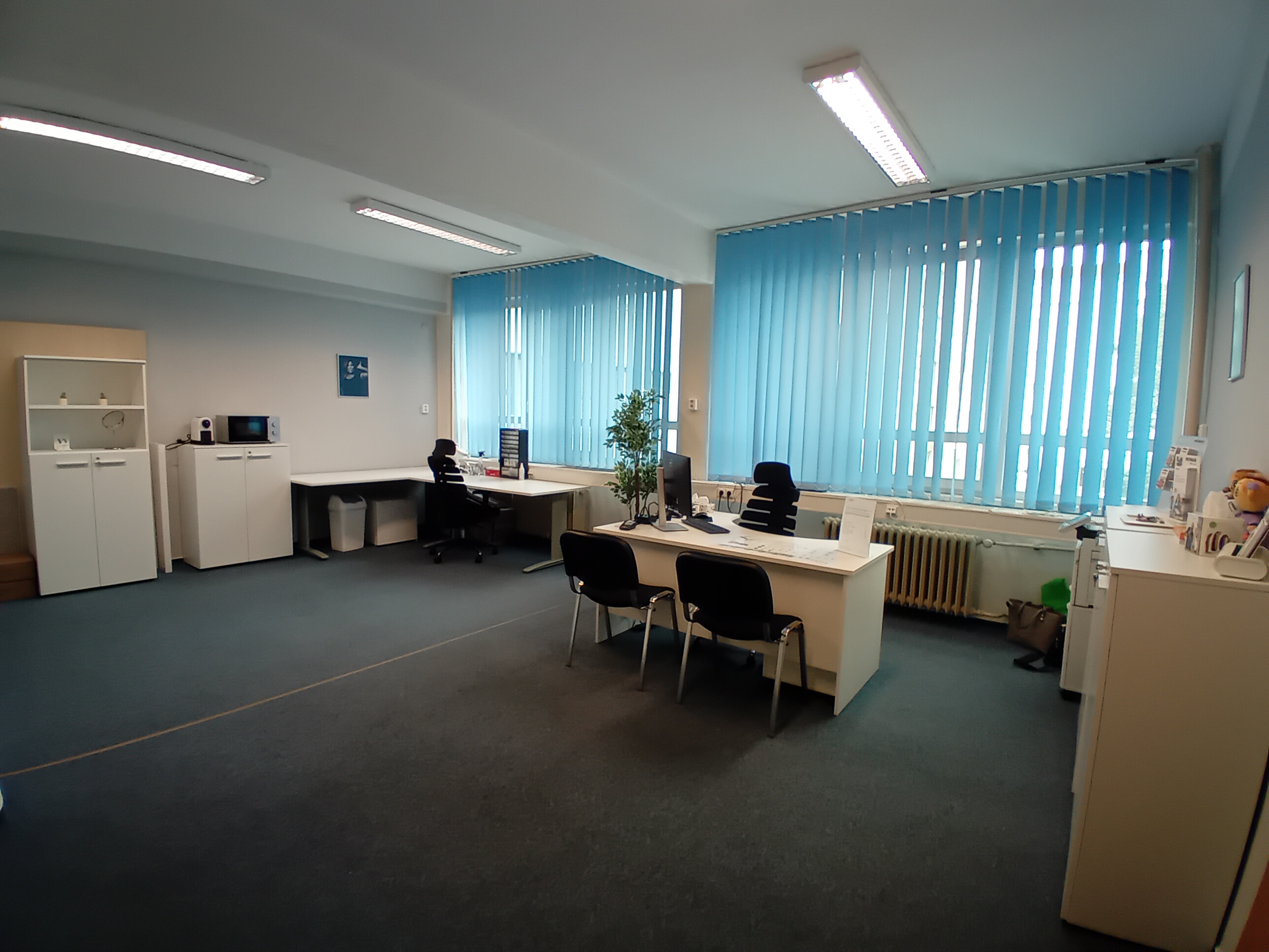 Reja.cz - Sluch pro život foto 2