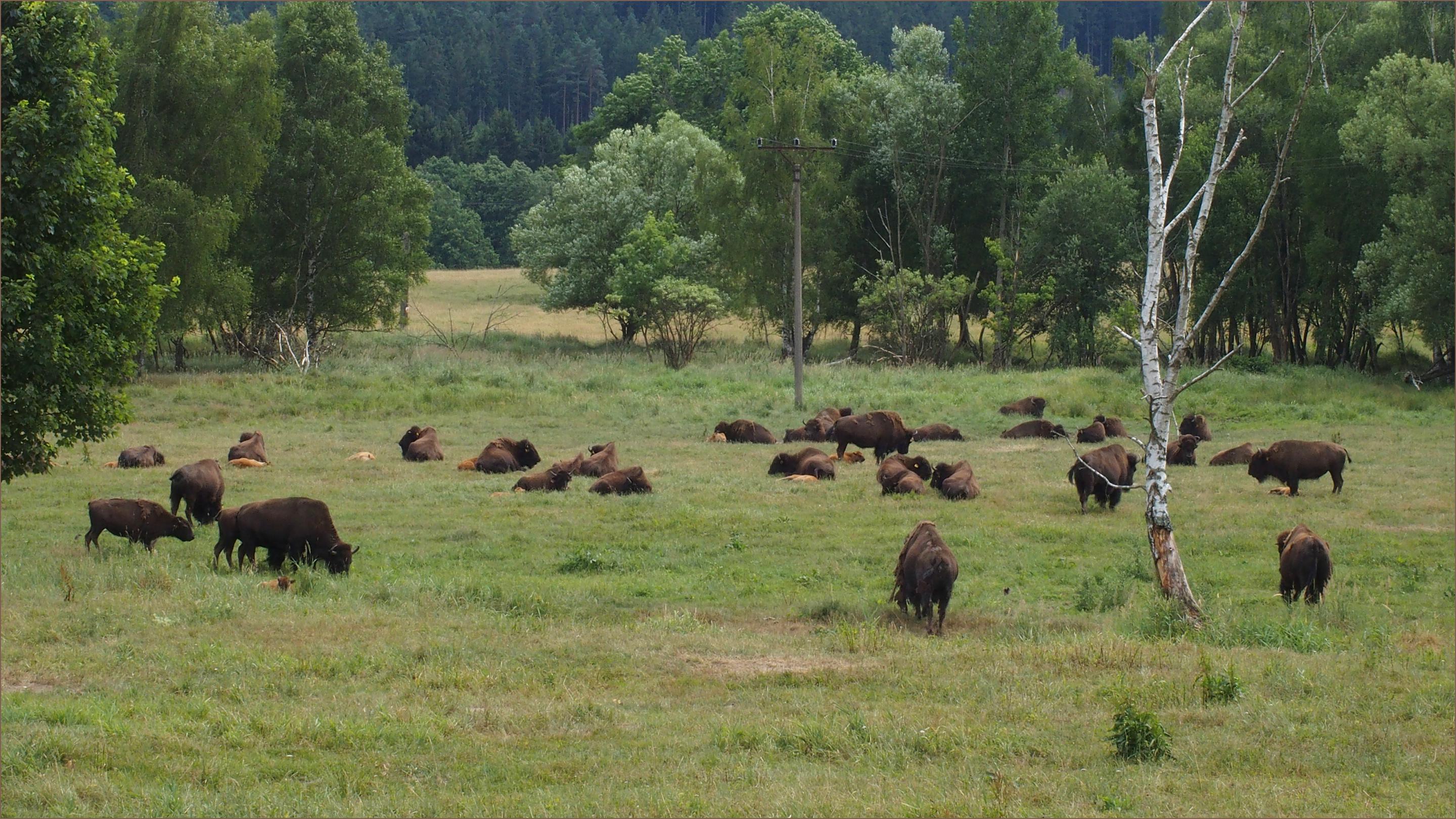 Ranč Návary foto 4
