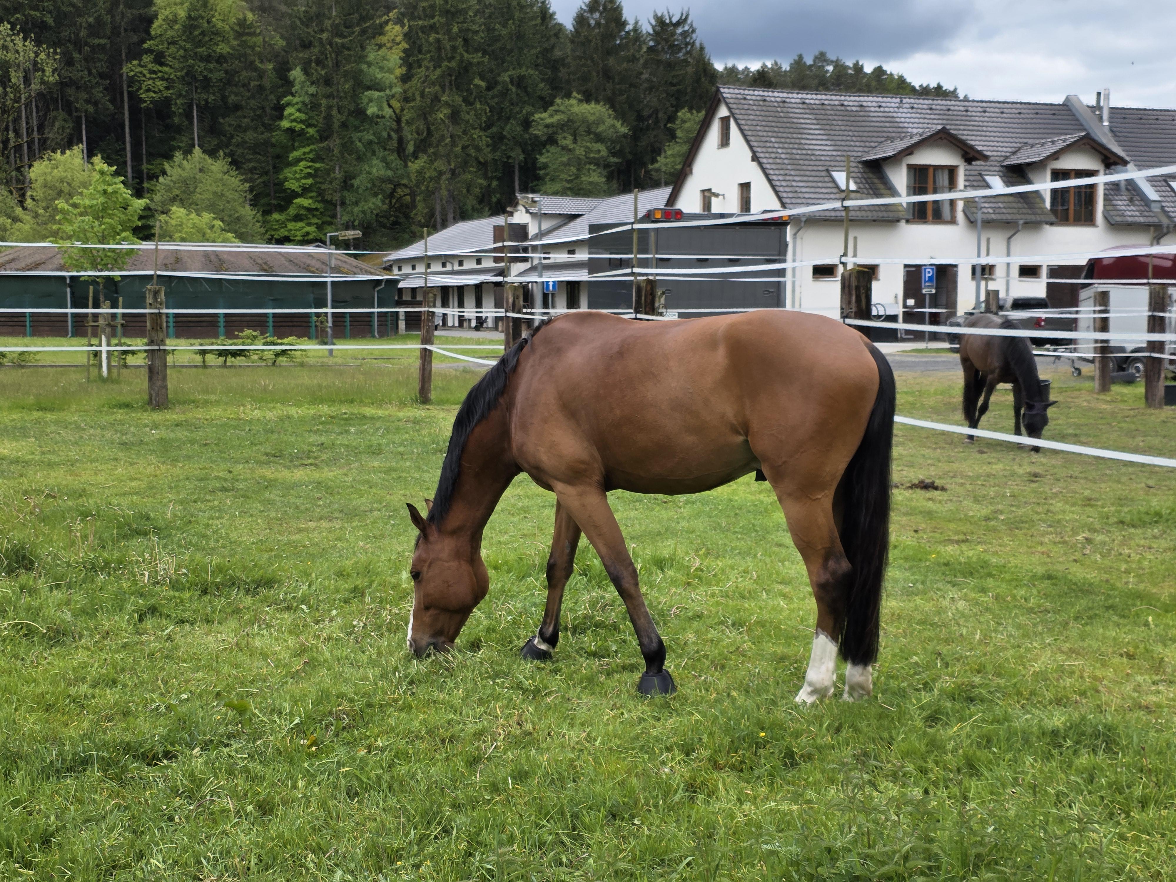Jízdárna Všemily foto 3