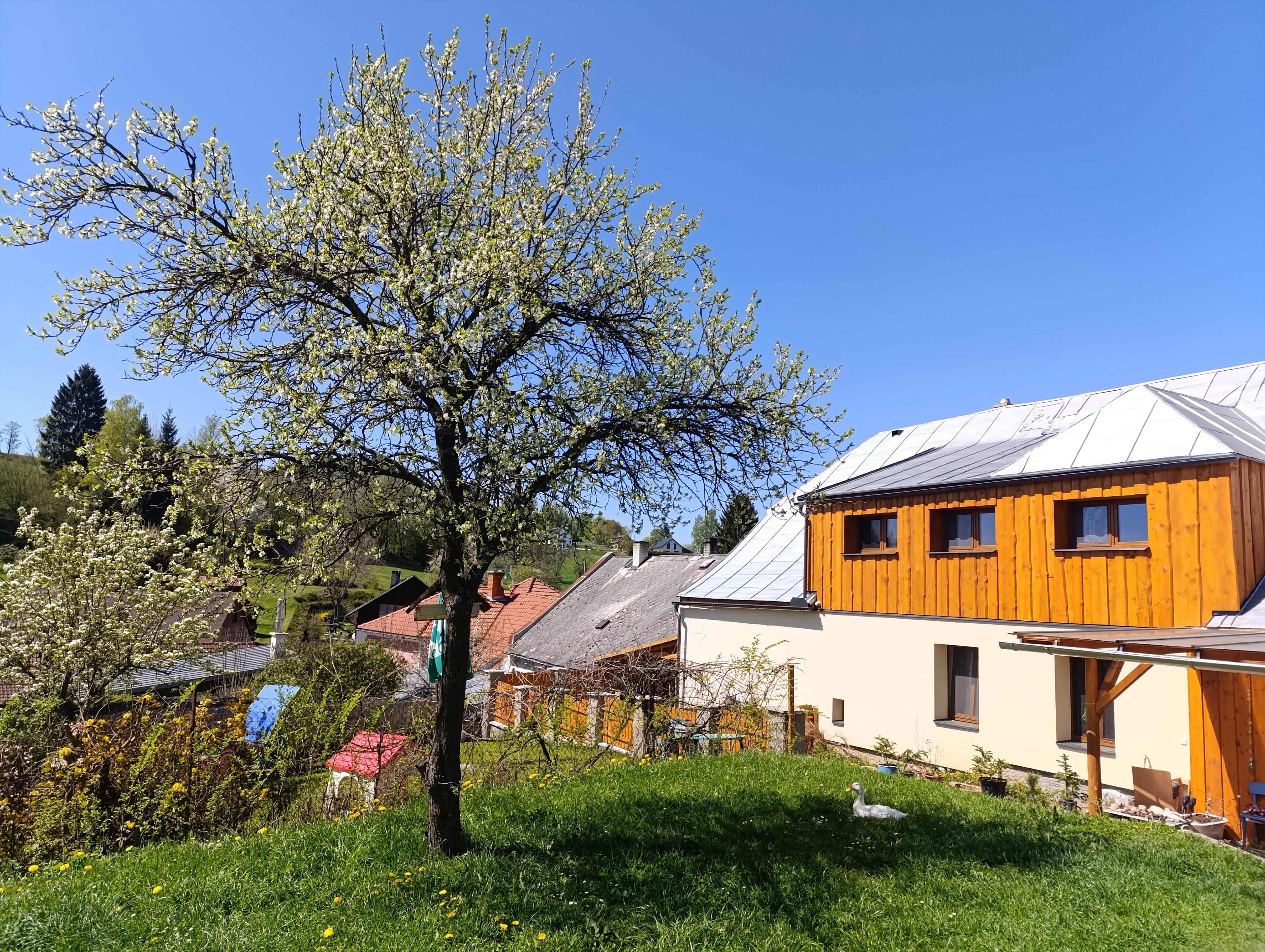 Rodinné ubytování Vilvin Kašperské Hory foto 2