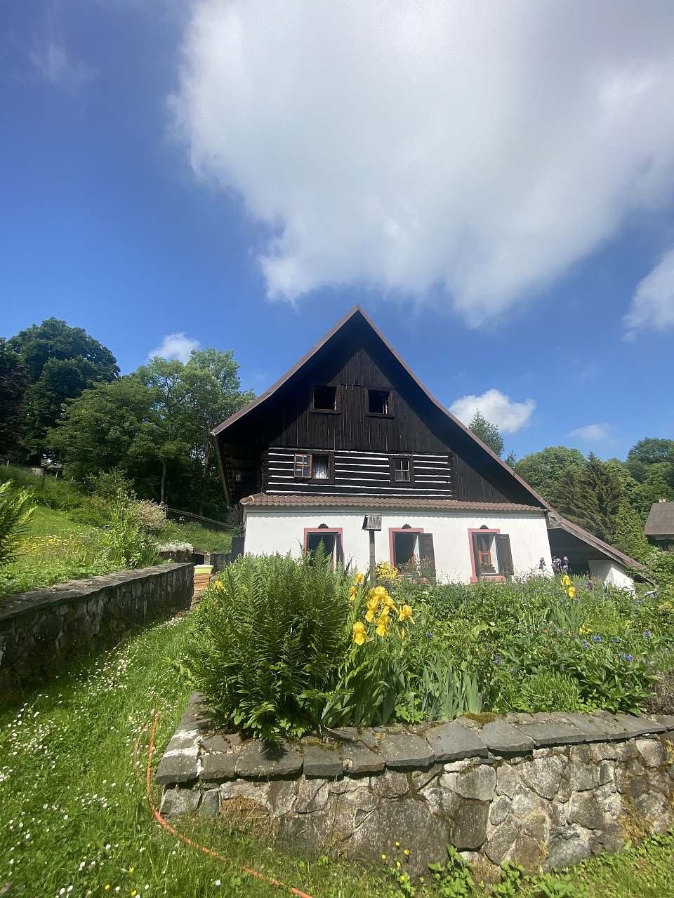 Ubytování Zelený foto 2