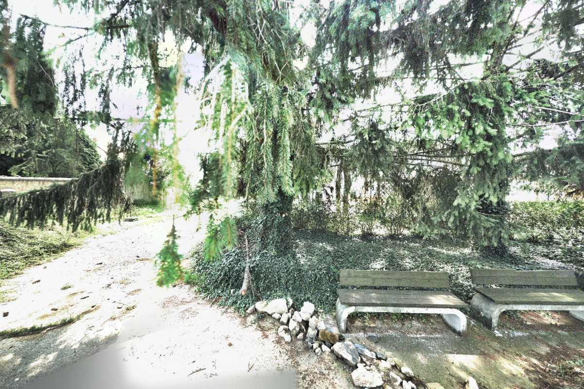 Domov se zvláštním režimem sv. Luisy