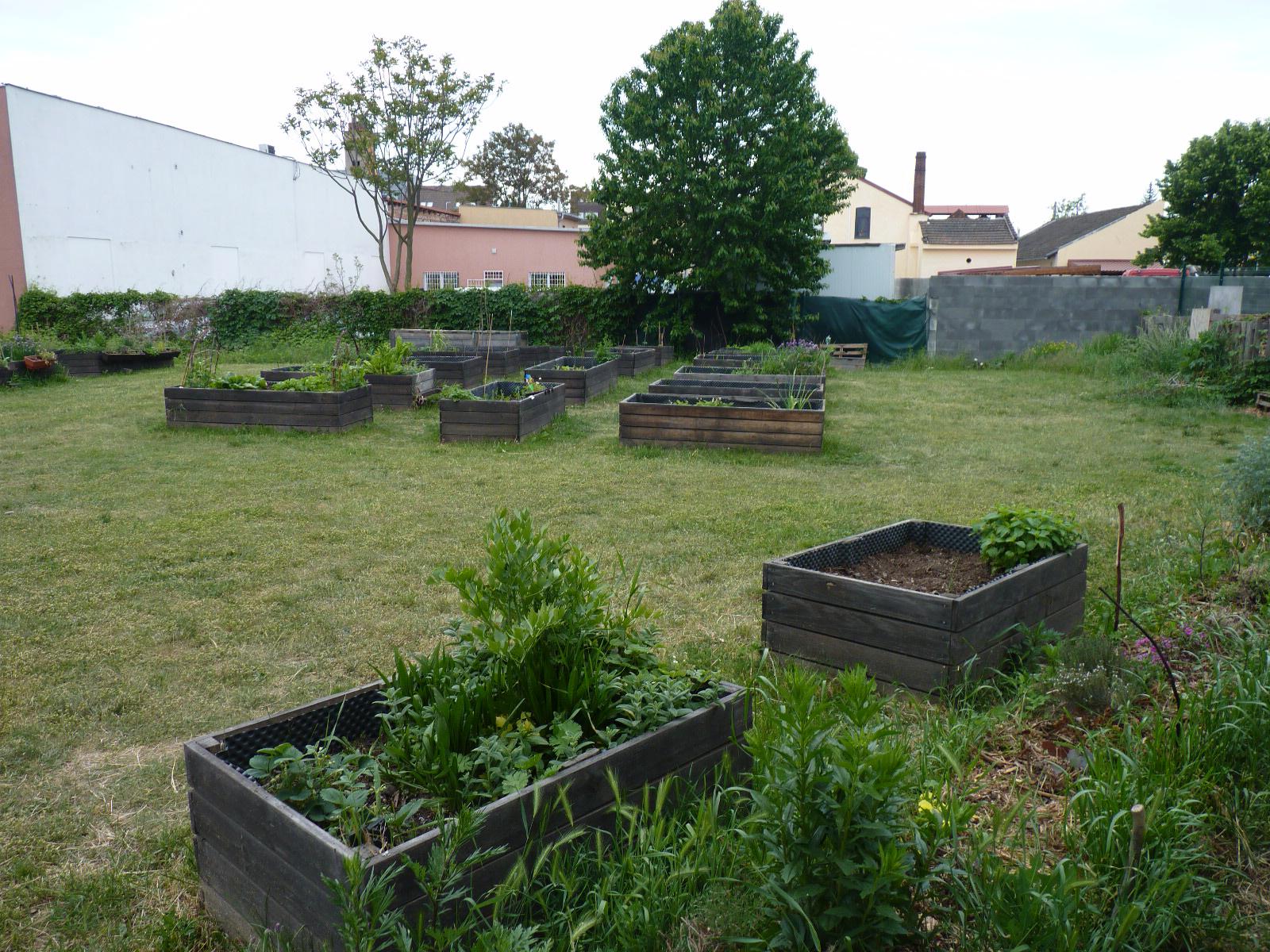 Komunitní zahrada Židenice