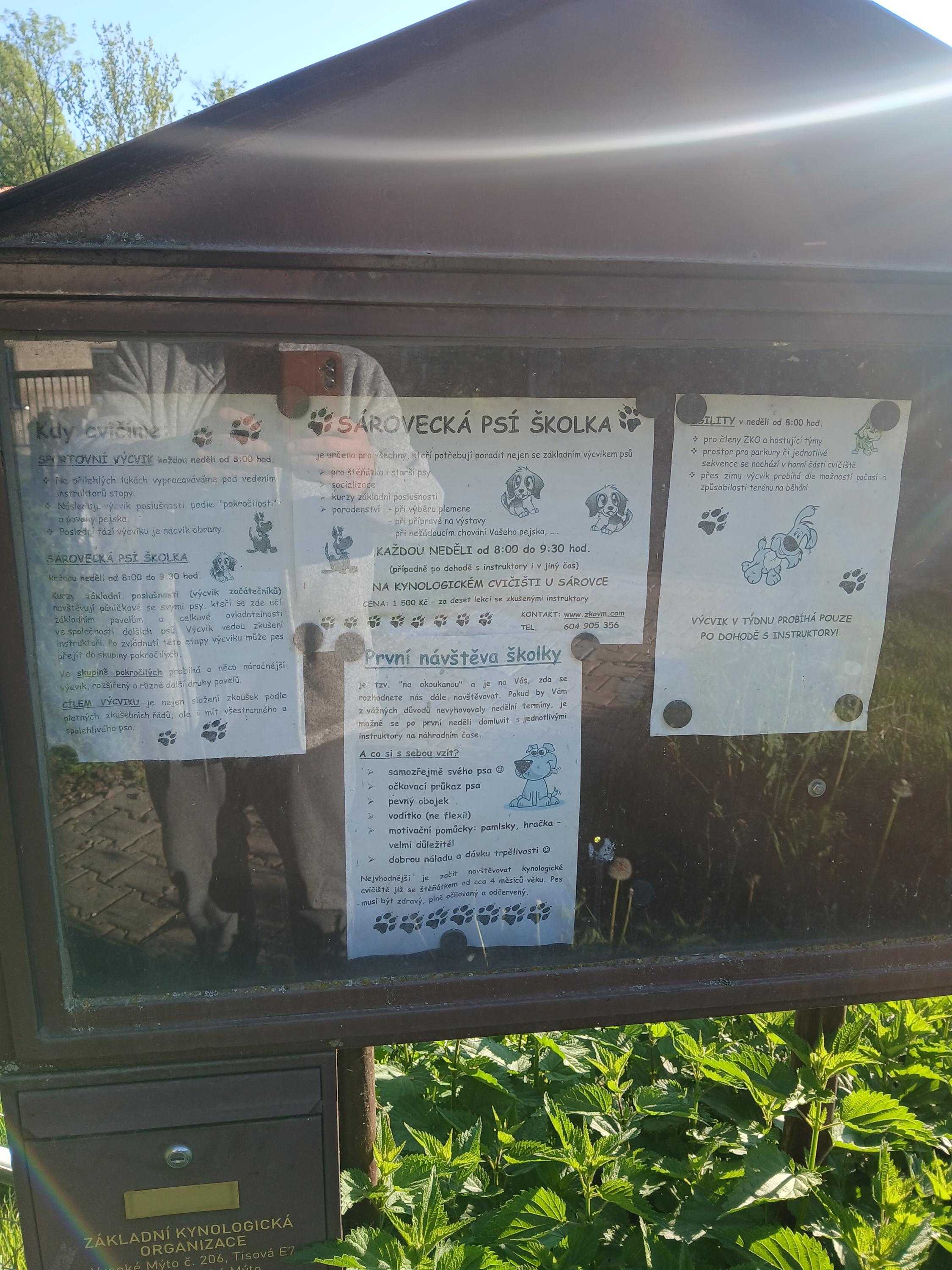 Český kynologický svaz ZKO Vysoké Mýto - 206 foto 5
