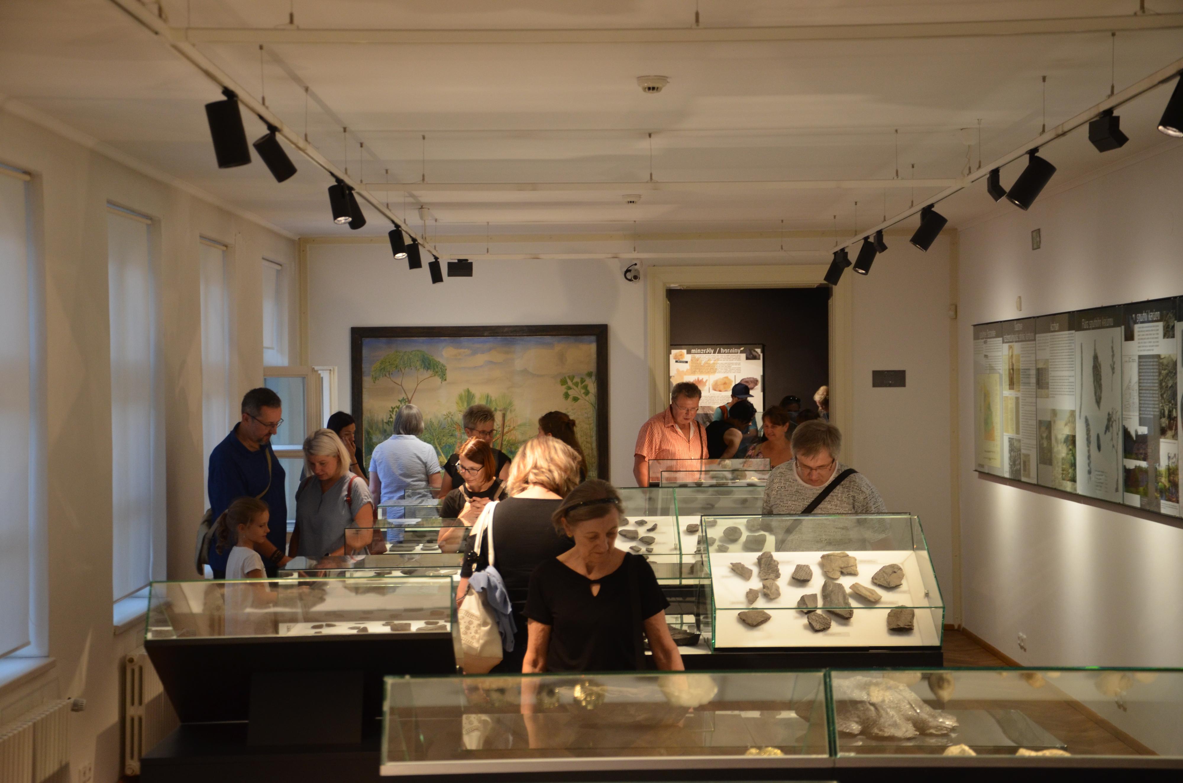 Ostravské muzeum foto 4