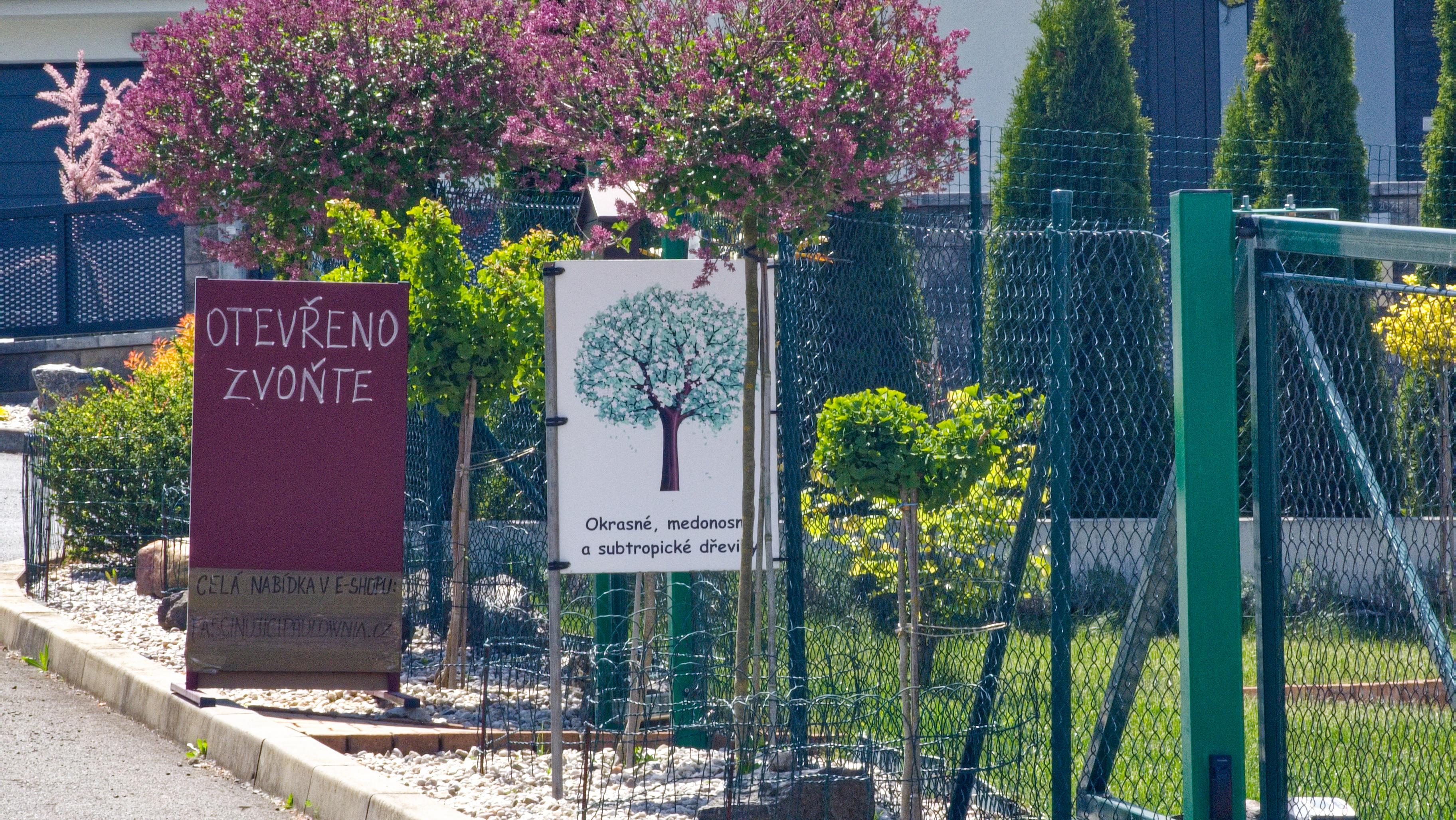 Mgr. Jan Rajčok foto 6