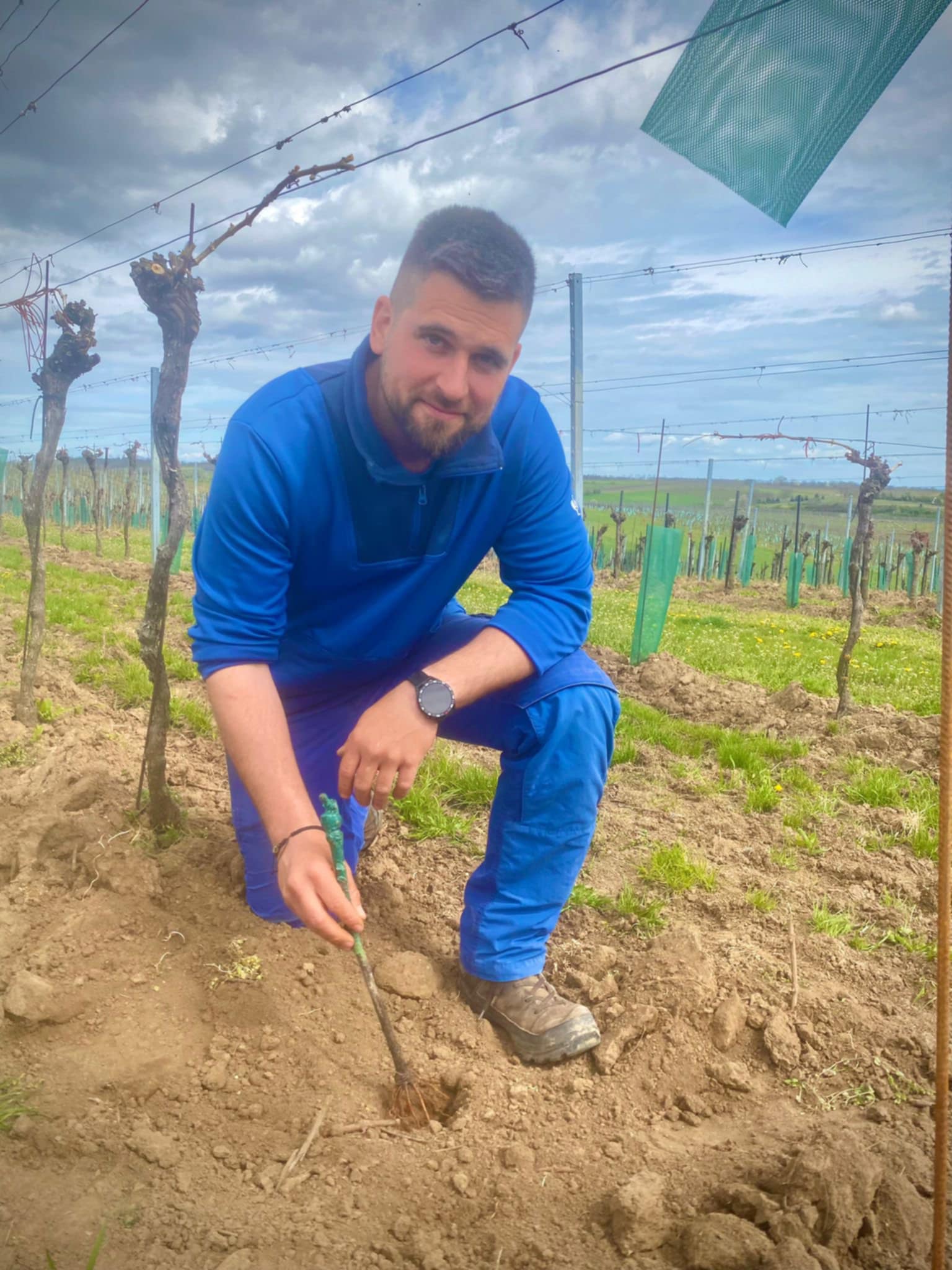 Vinařství Kamil Trávník foto 2