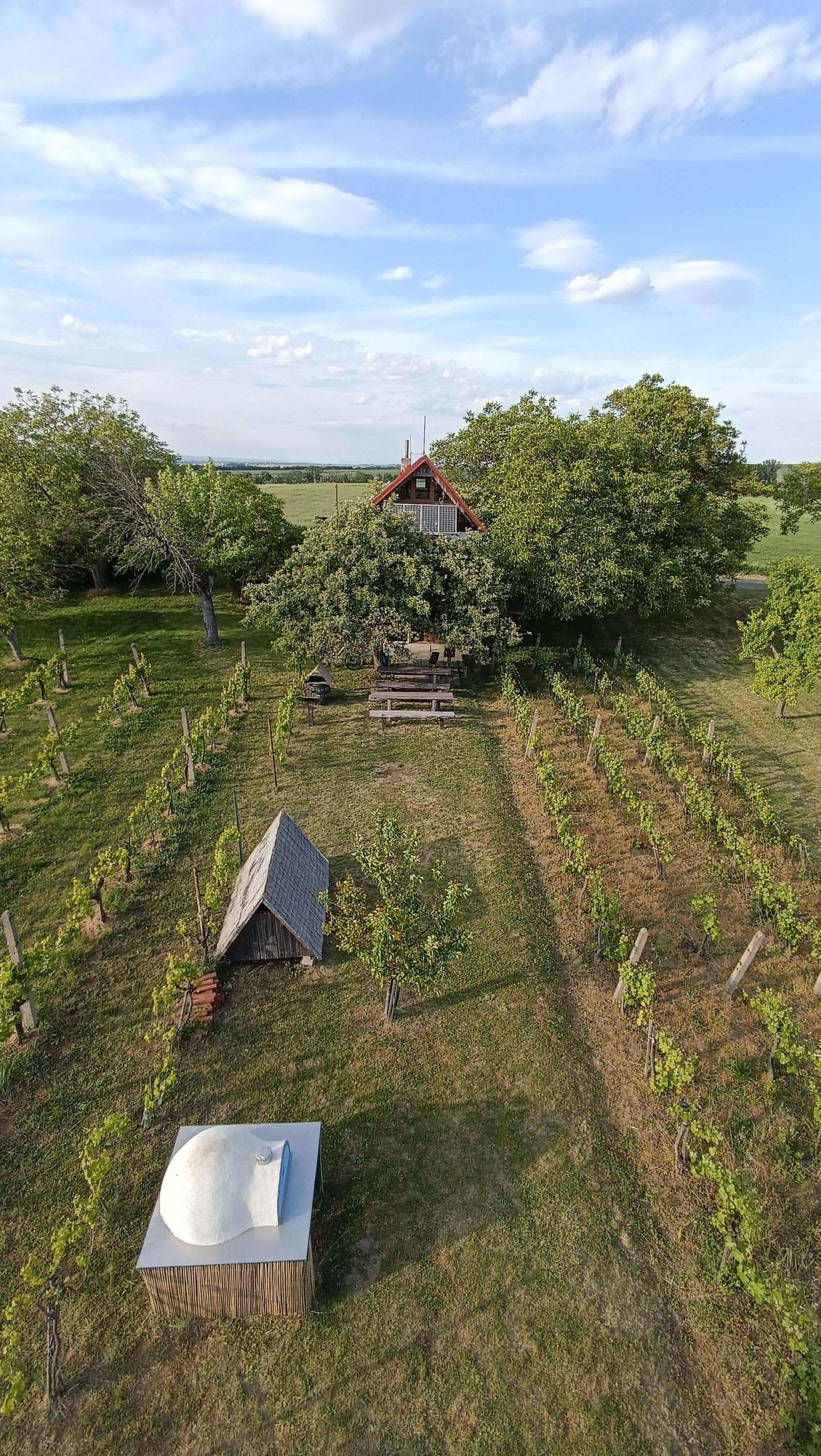 Letní občerstvení U OSKORUŠE foto 4