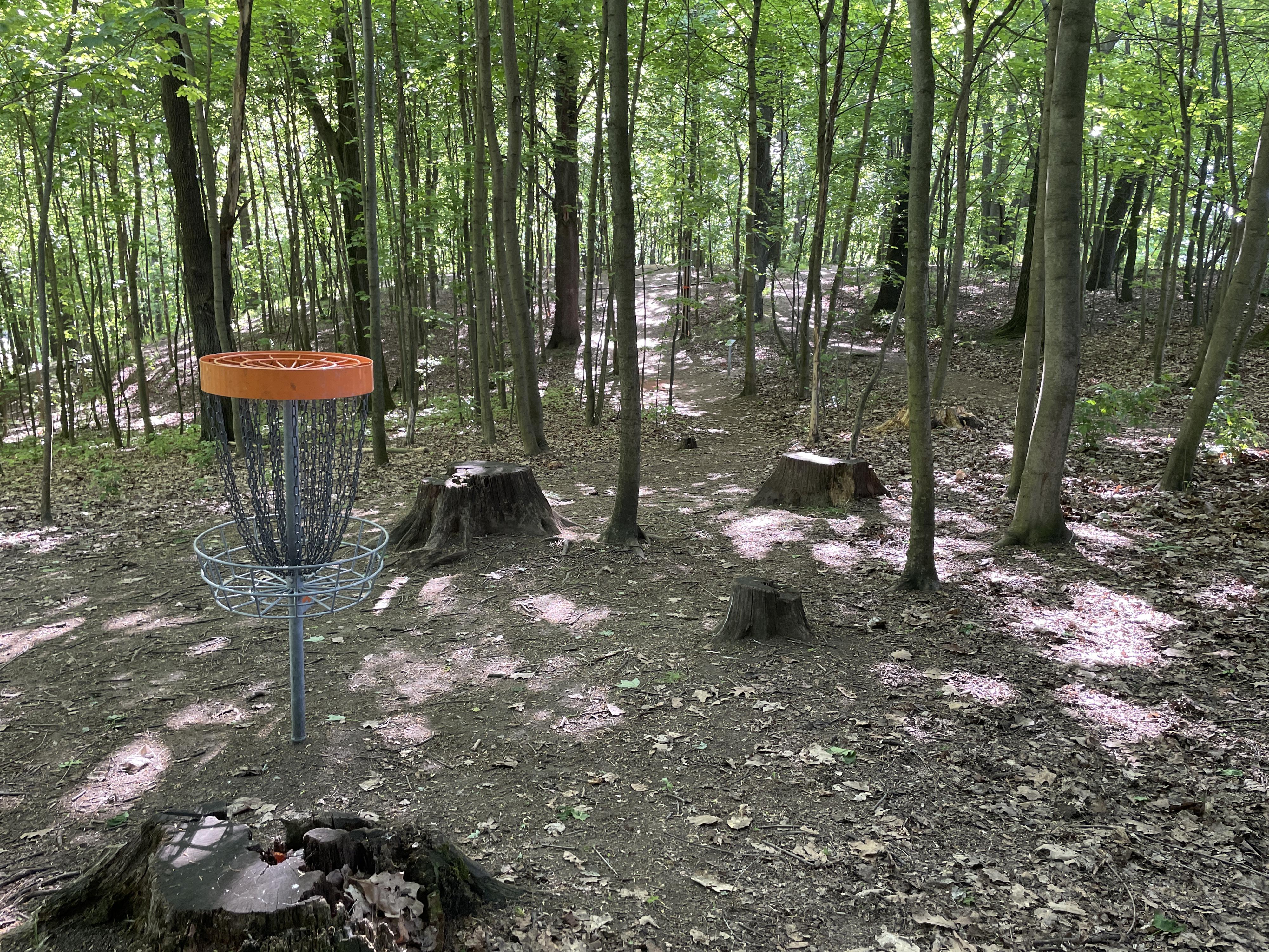 Discgolfové hřiště Frýdlant foto 2