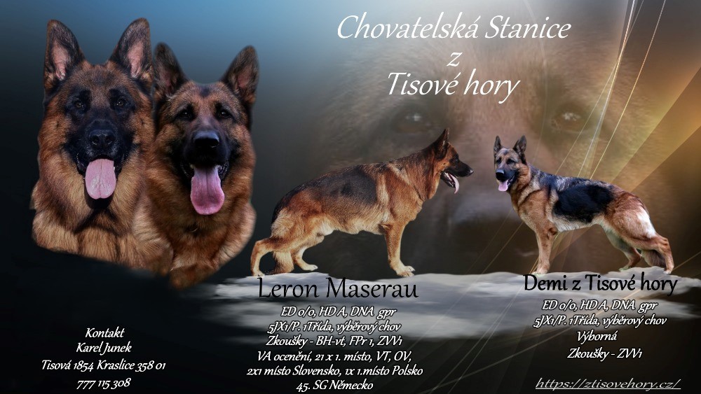 Chovatelská stanice německých ovčáků z Tisové hory foto 2