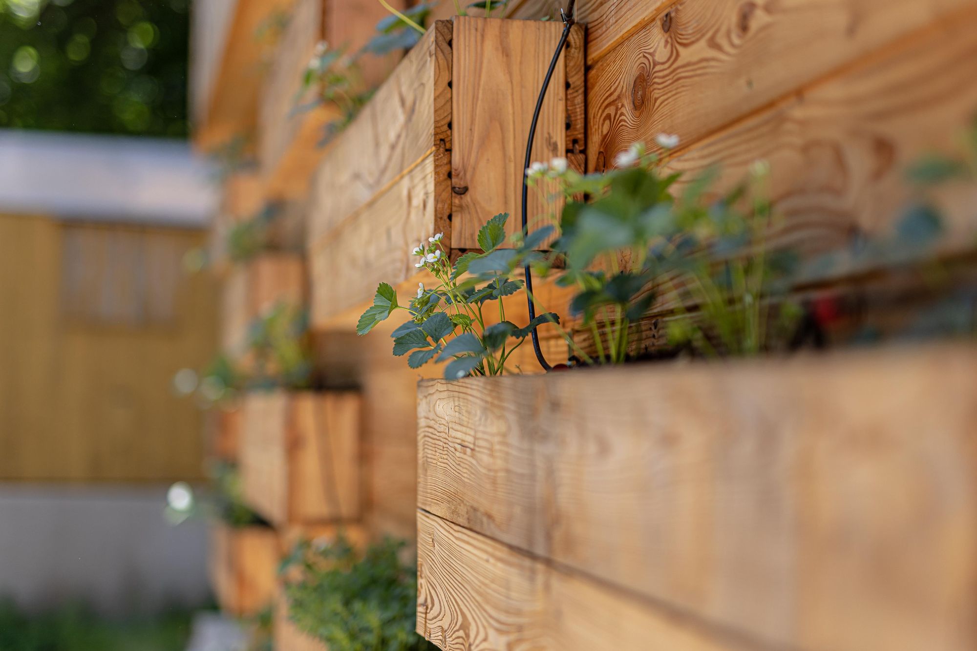 VČELÍ KRUHOVÉ CENTRUM STOLIŇ foto 3