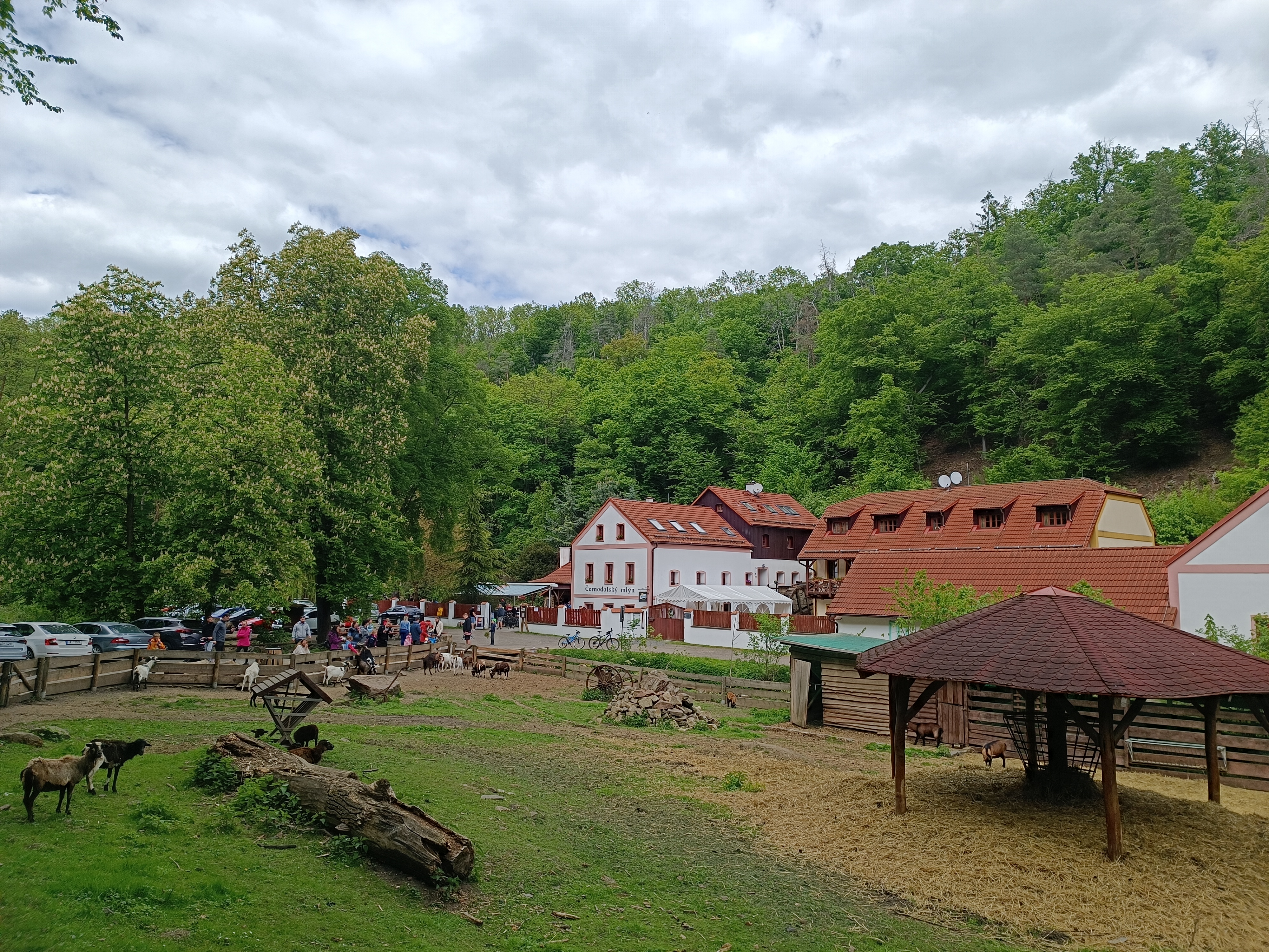 Restaurace Černodolský mlýn foto 3