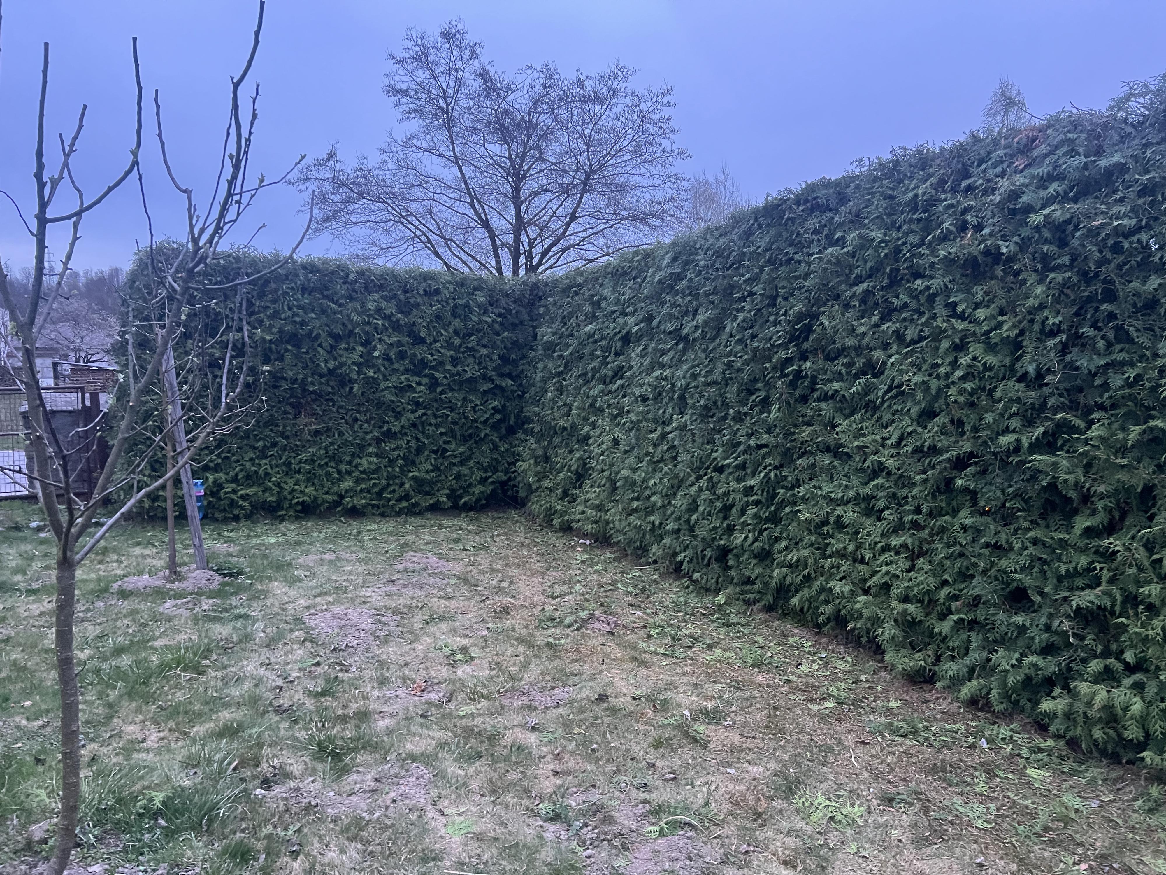 Vilém Sobotka - zahradnické práce foto 4