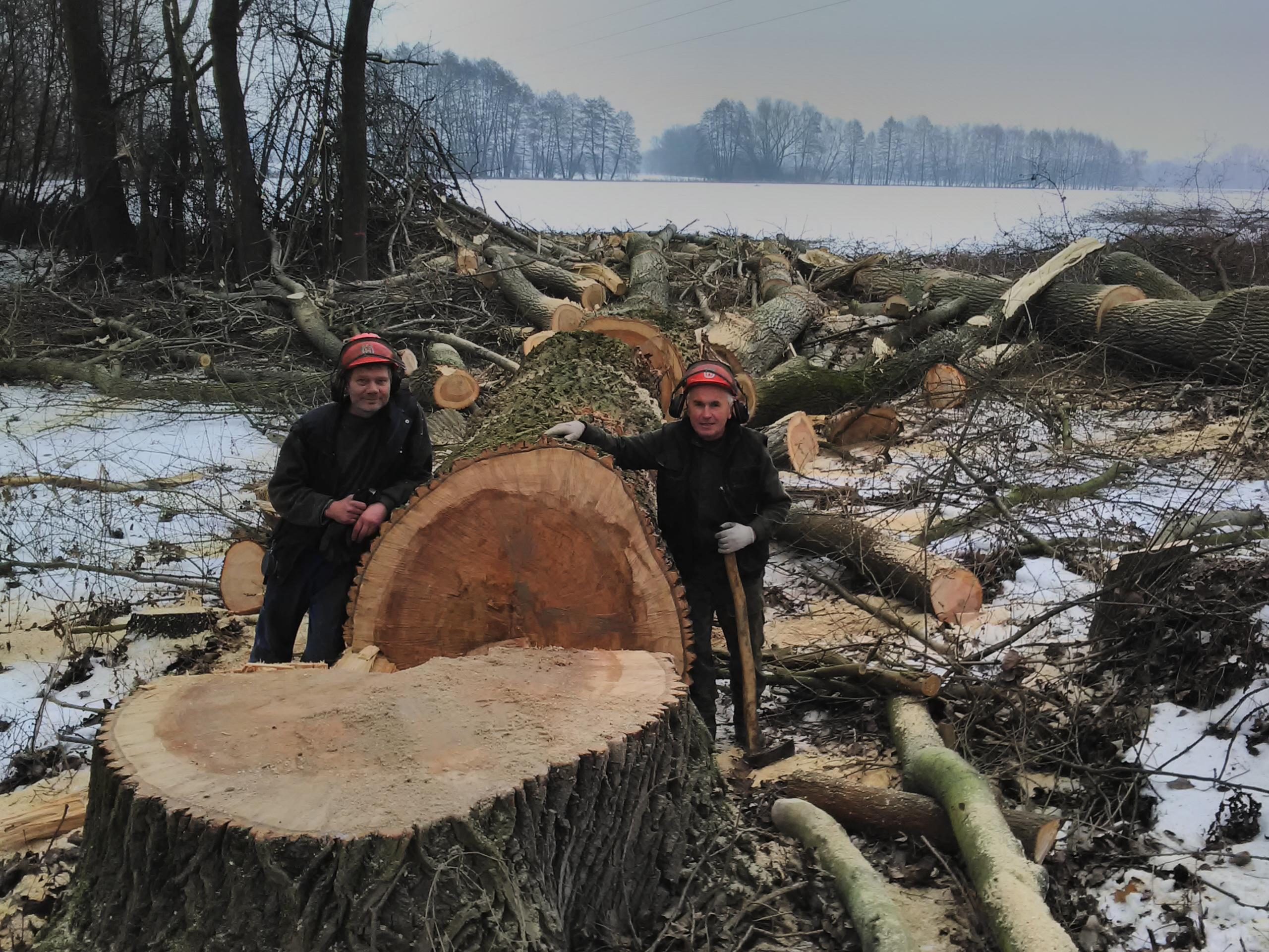 Údržba zeleně Ivan Patřičný foto 2