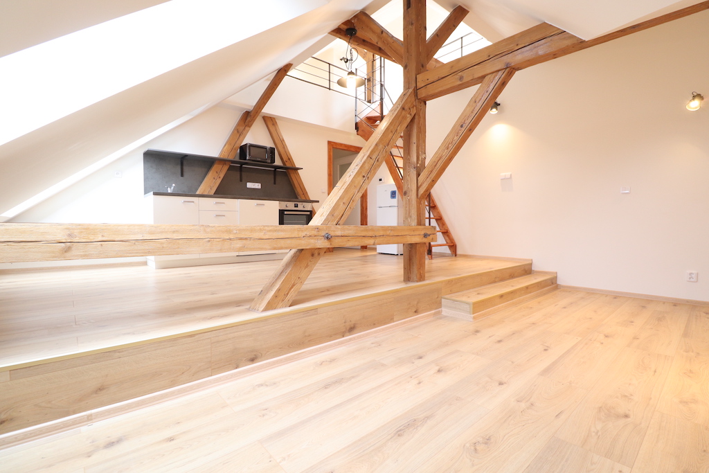 MP Classic Lofts foto 4