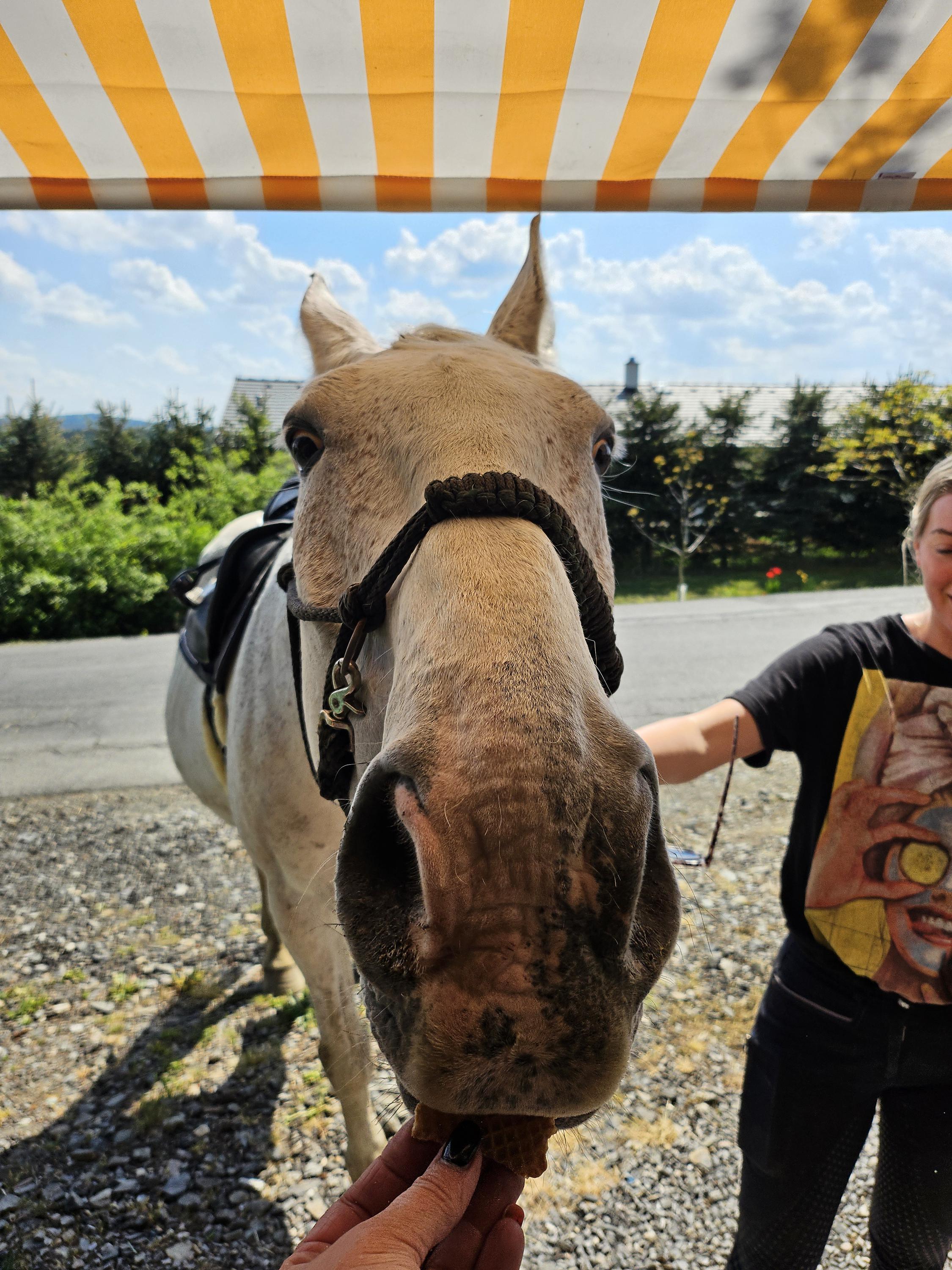Zmrzlina Bratřínov foto 4