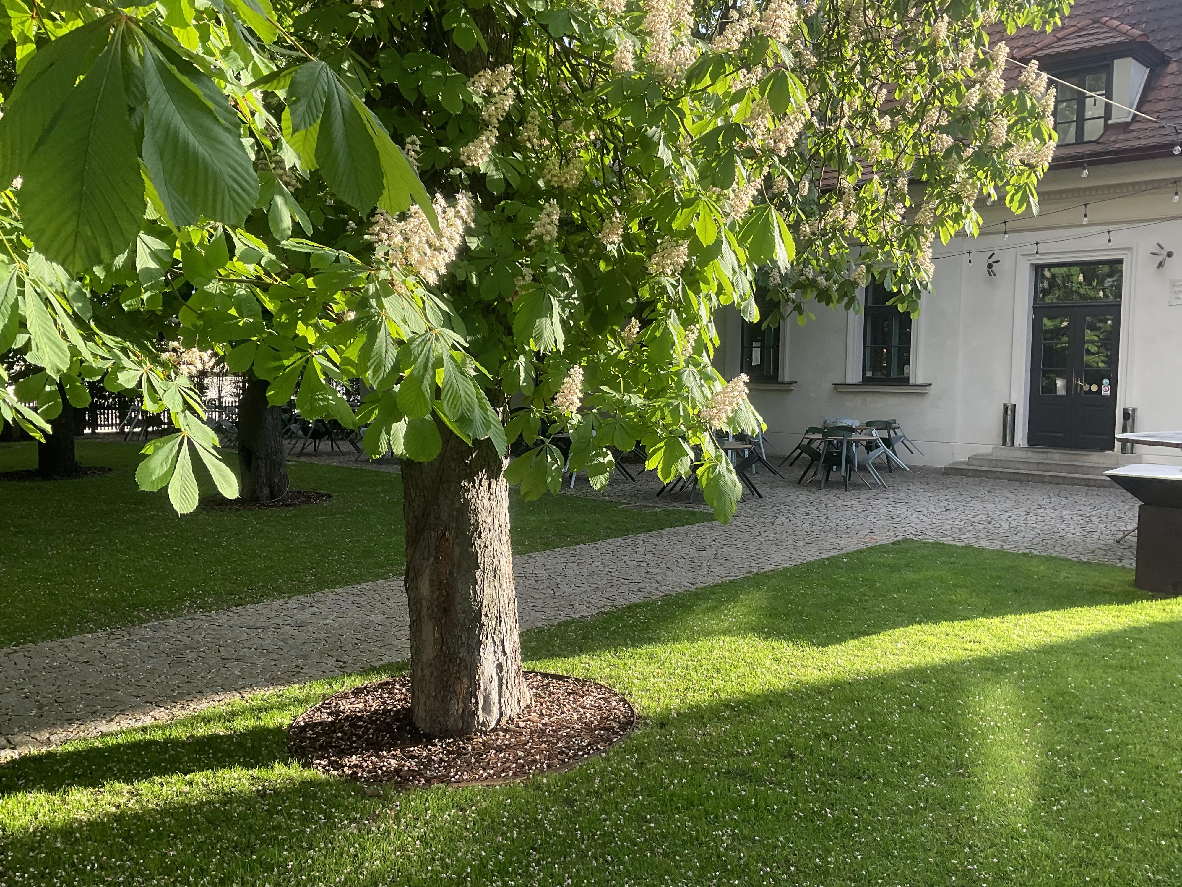 Stůl Jana Punčocháře foto 2