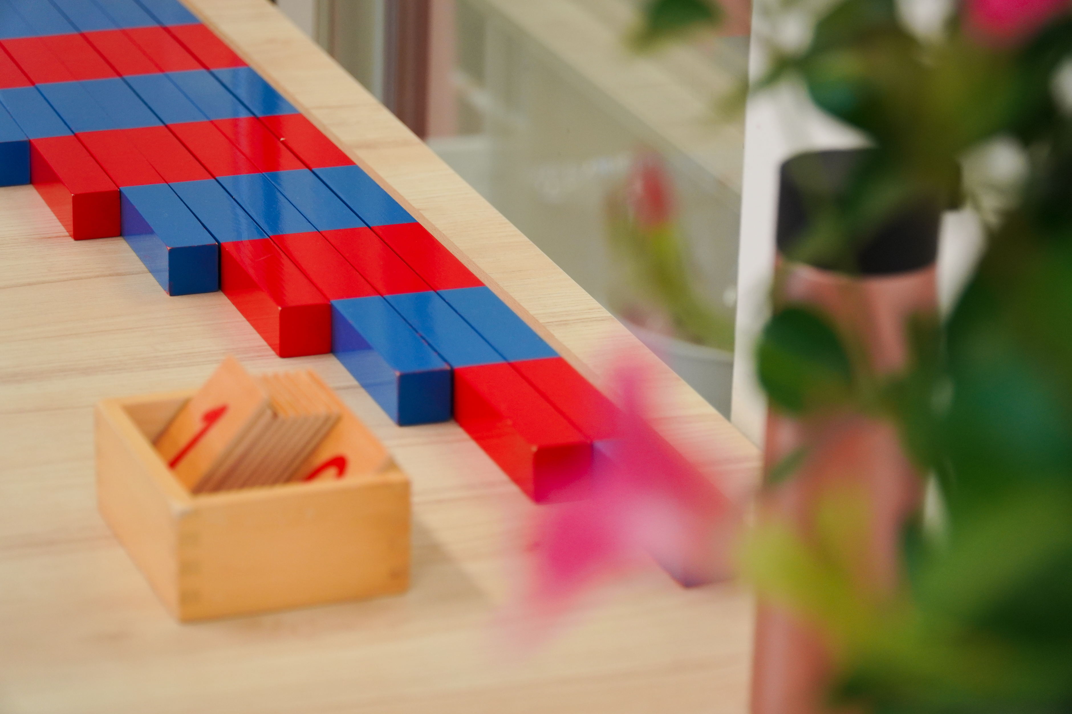 Základní škola a gymnázium AVIDA foto 3