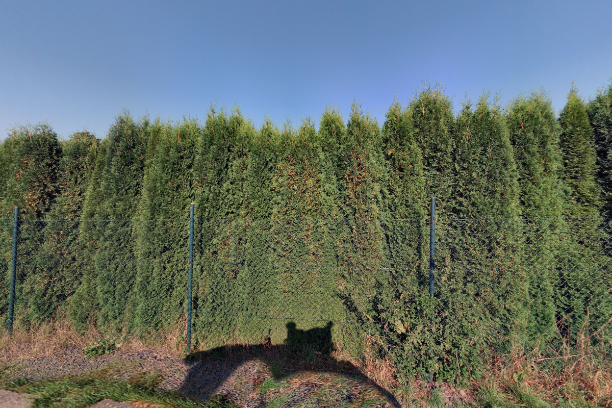 Český kynologický svaz ZKO Hranice