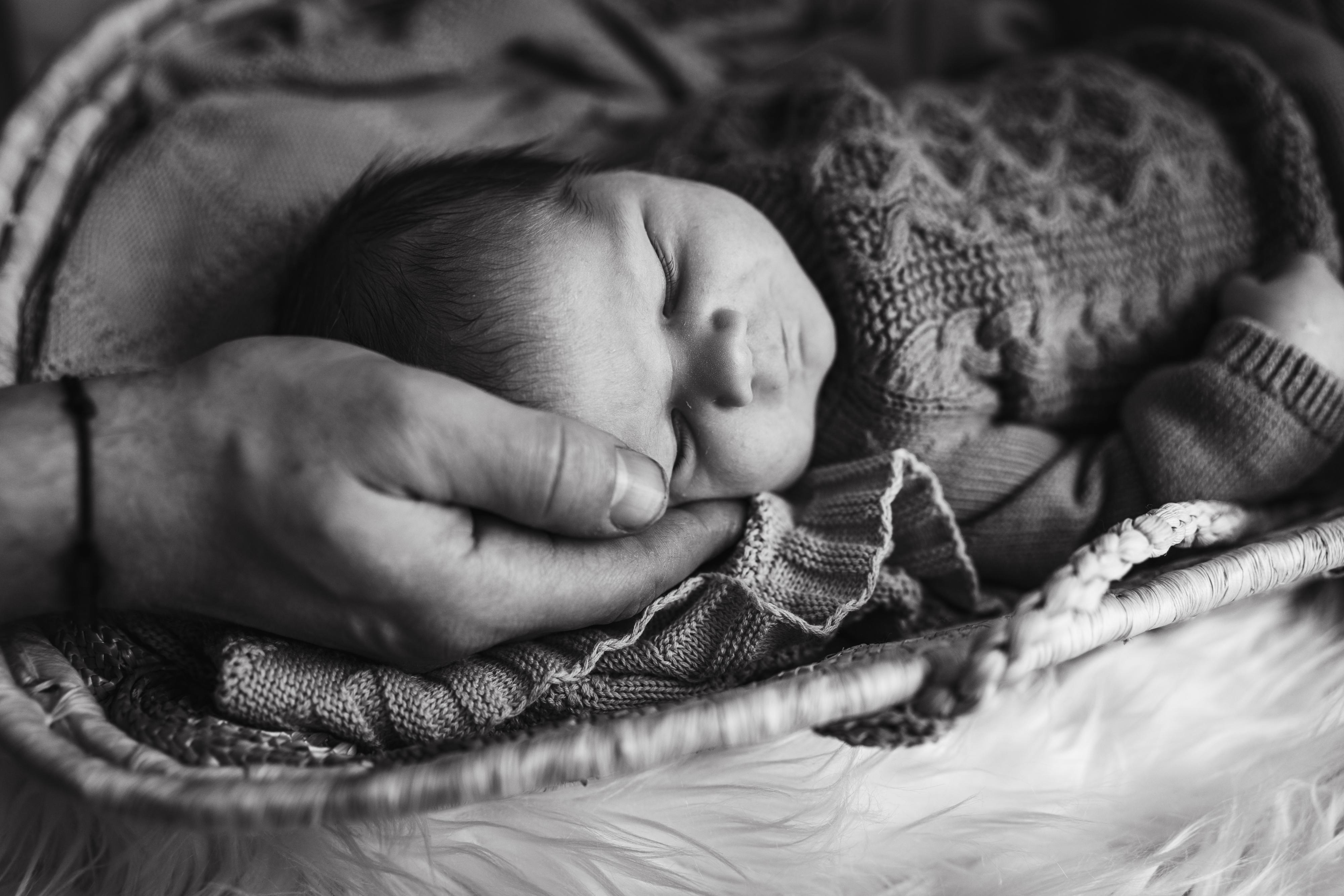 Vereshka Photo – Profesionální rodinná fotografka foto 1