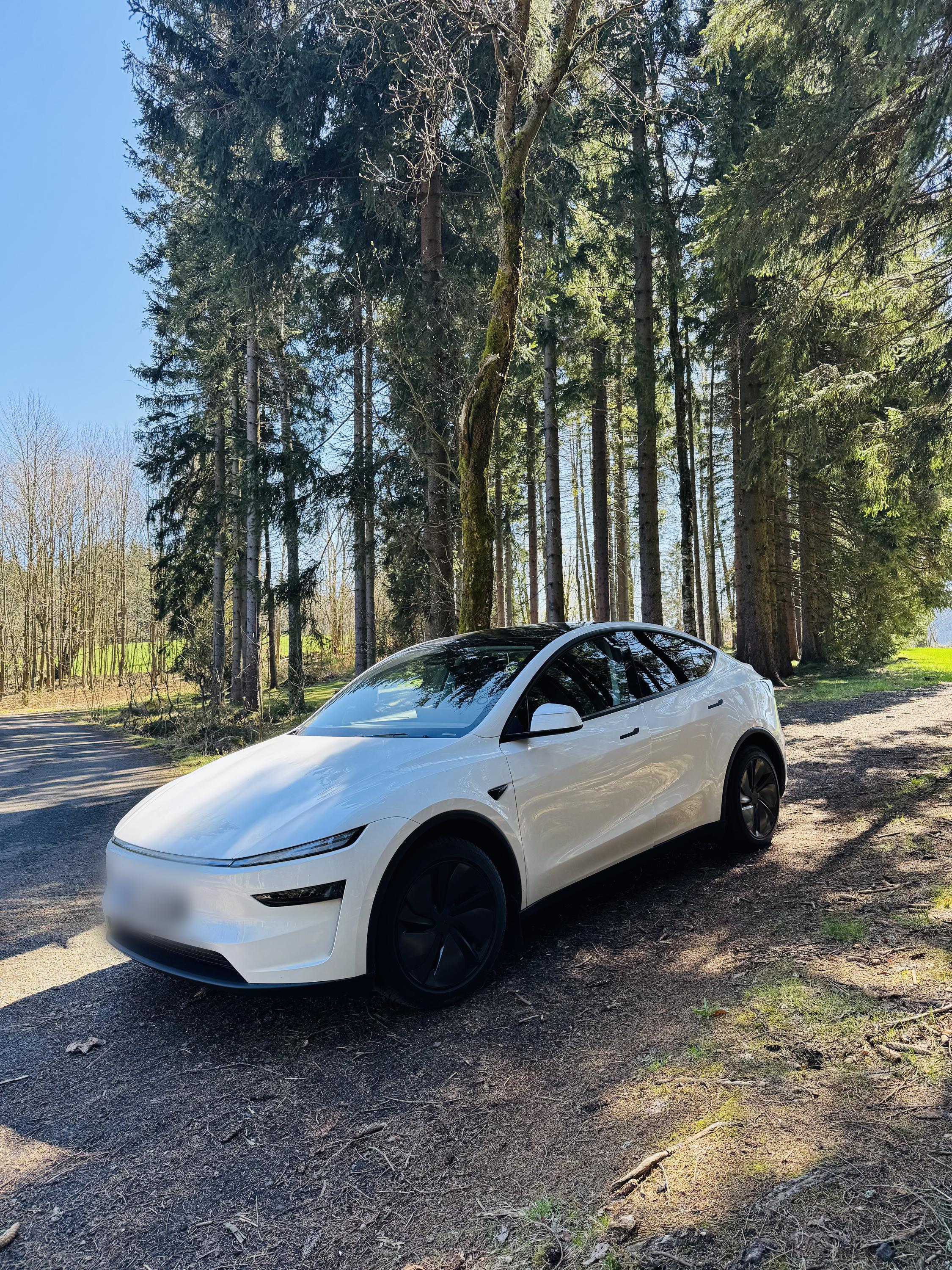 Taxi Tesla Rydval