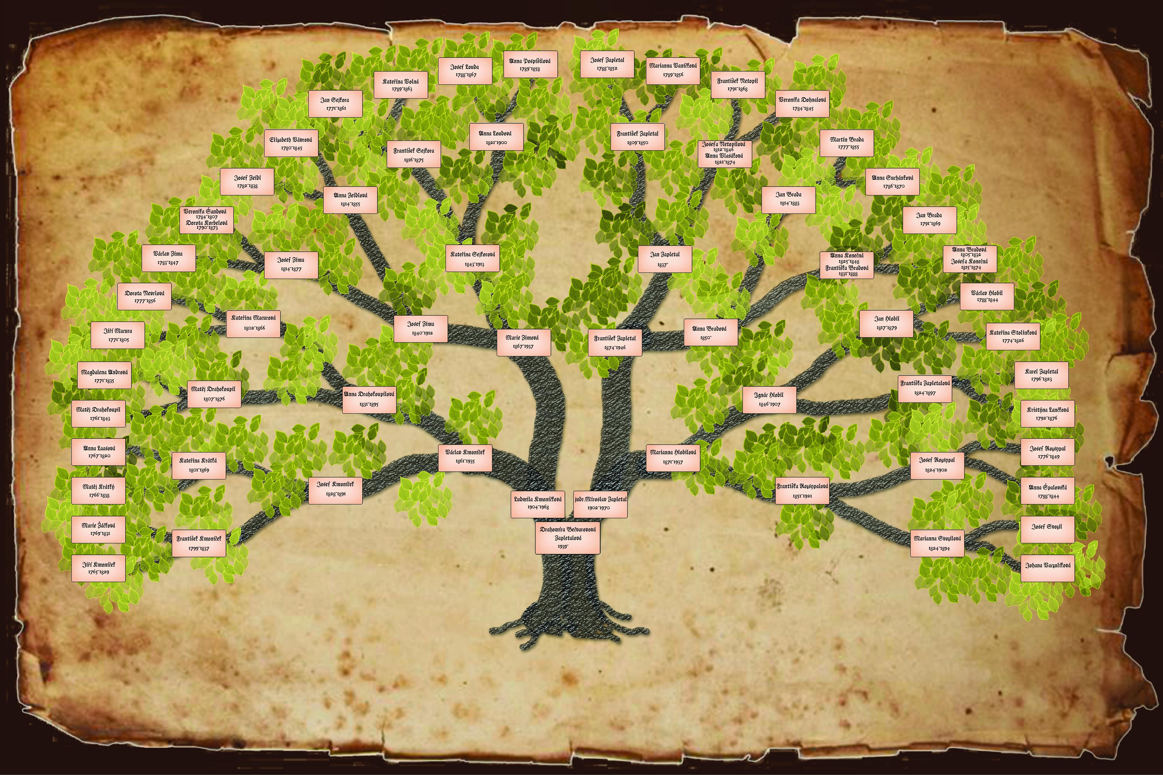 Drahomíra Bečvarovová - sestavení rodokmenů foto 2