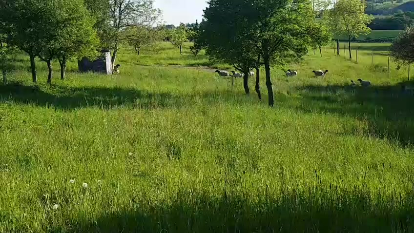 Farma Noskových foto 2 (náhled videa)