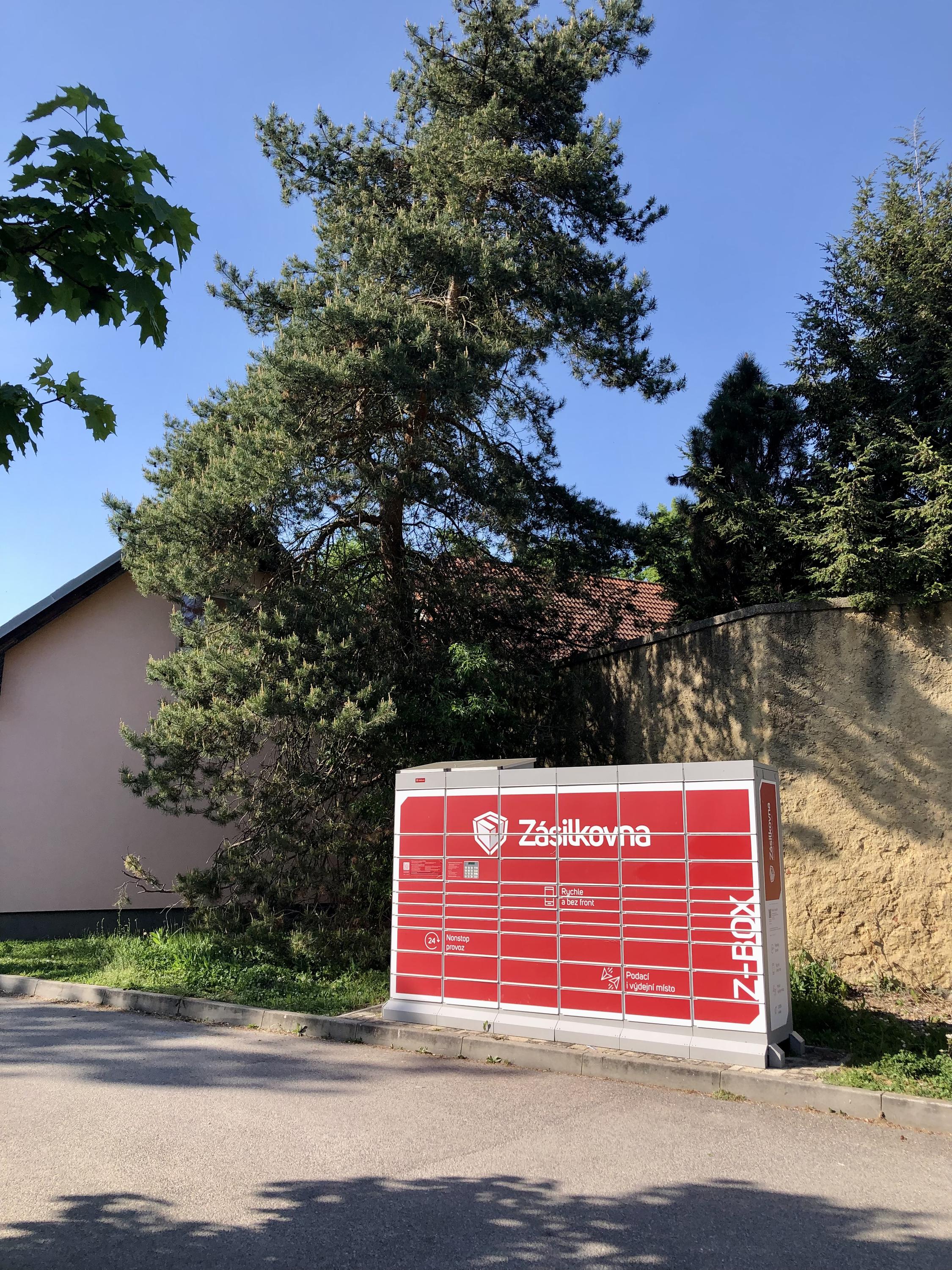 Z-BOX foto 3