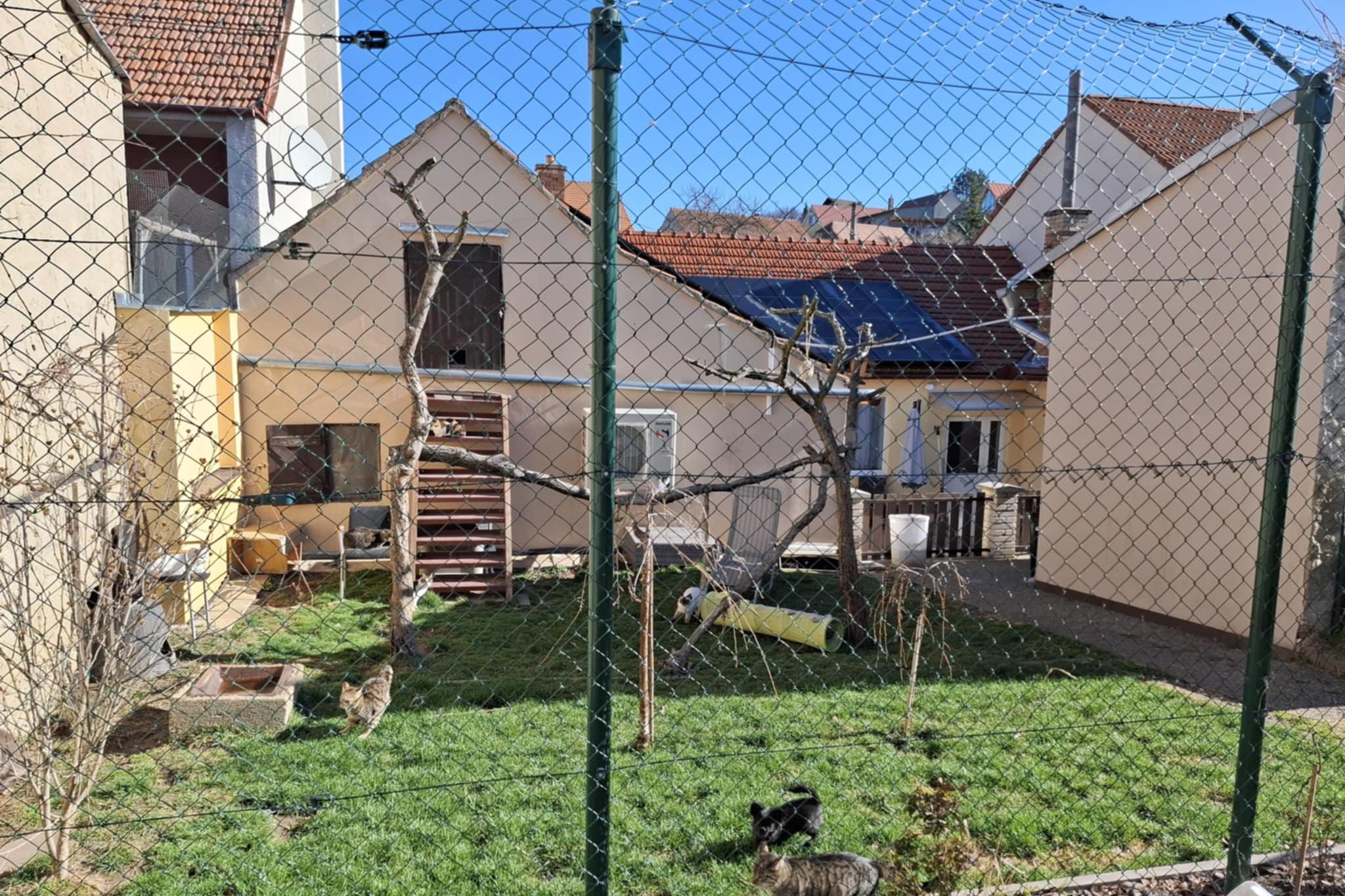 Kočky u Katky, z.s.