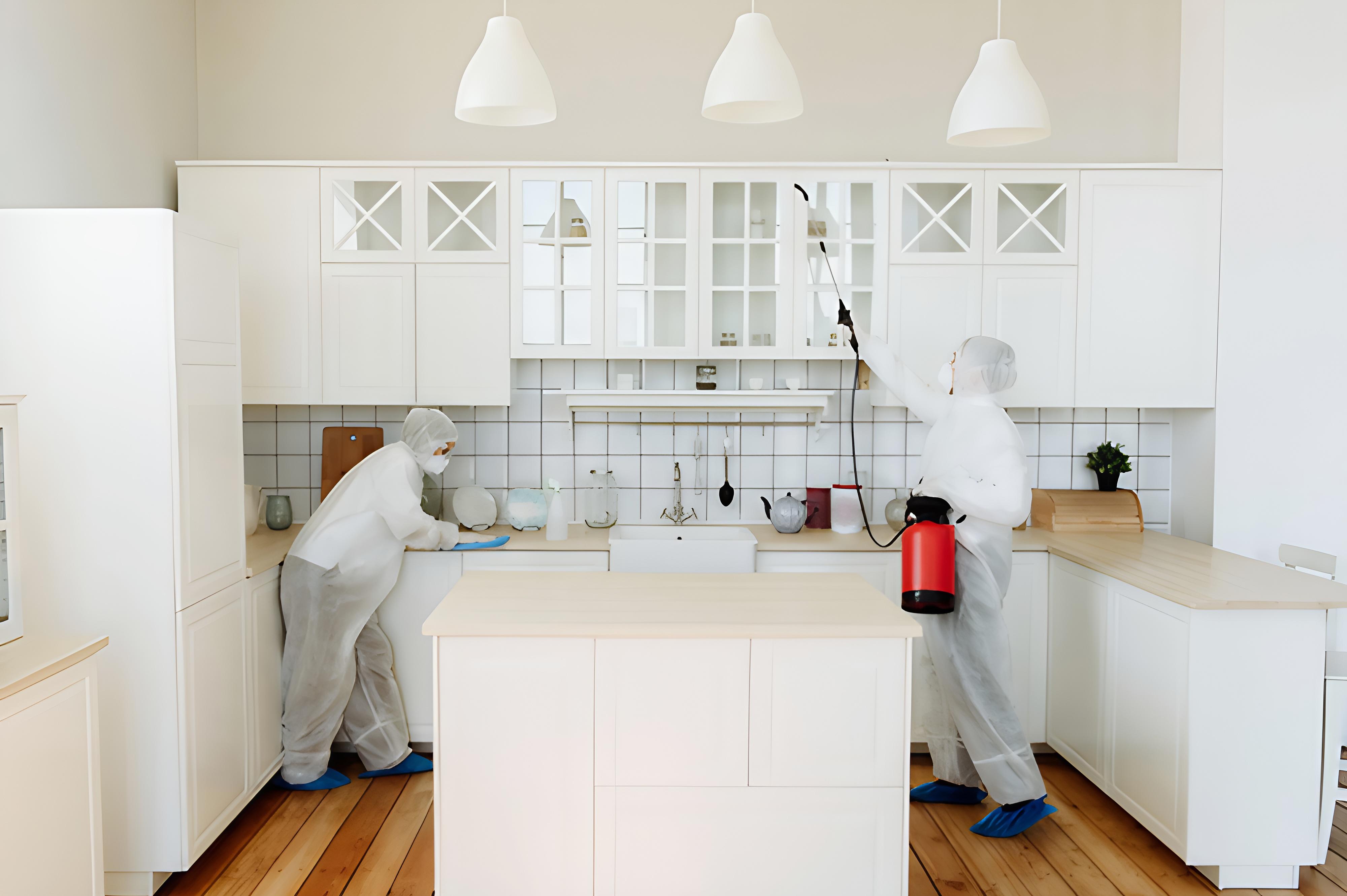 DERSMAN - Deratizace, Dezinsekce, Dezinfekce foto 1