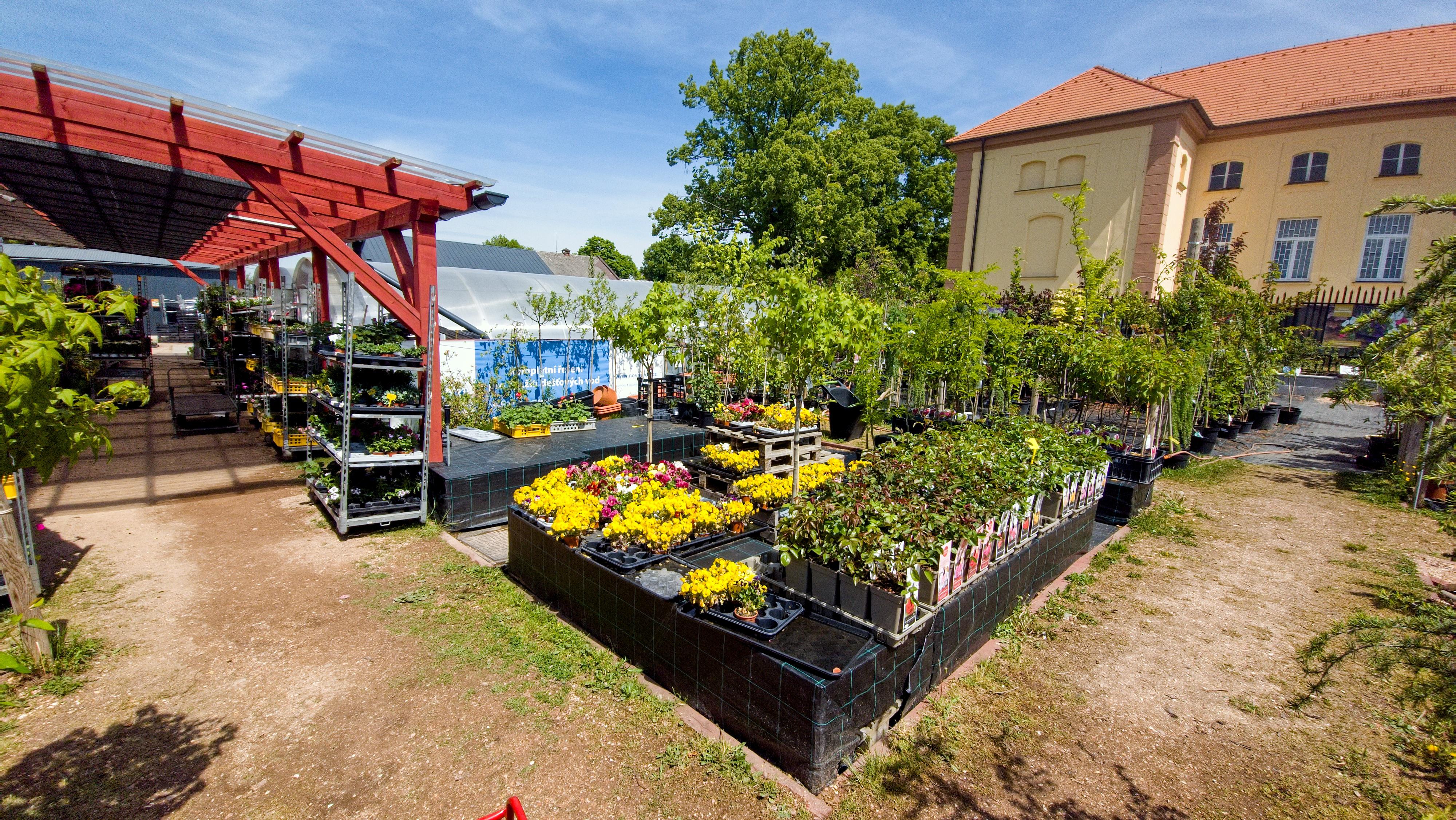 Zahradnictví Dobřany foto 2