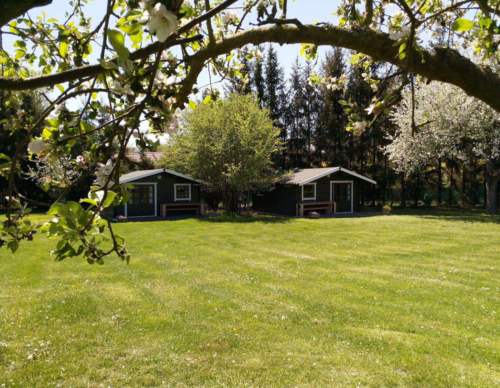 Guesthouse Camping Pliskovice - restaurace foto 6