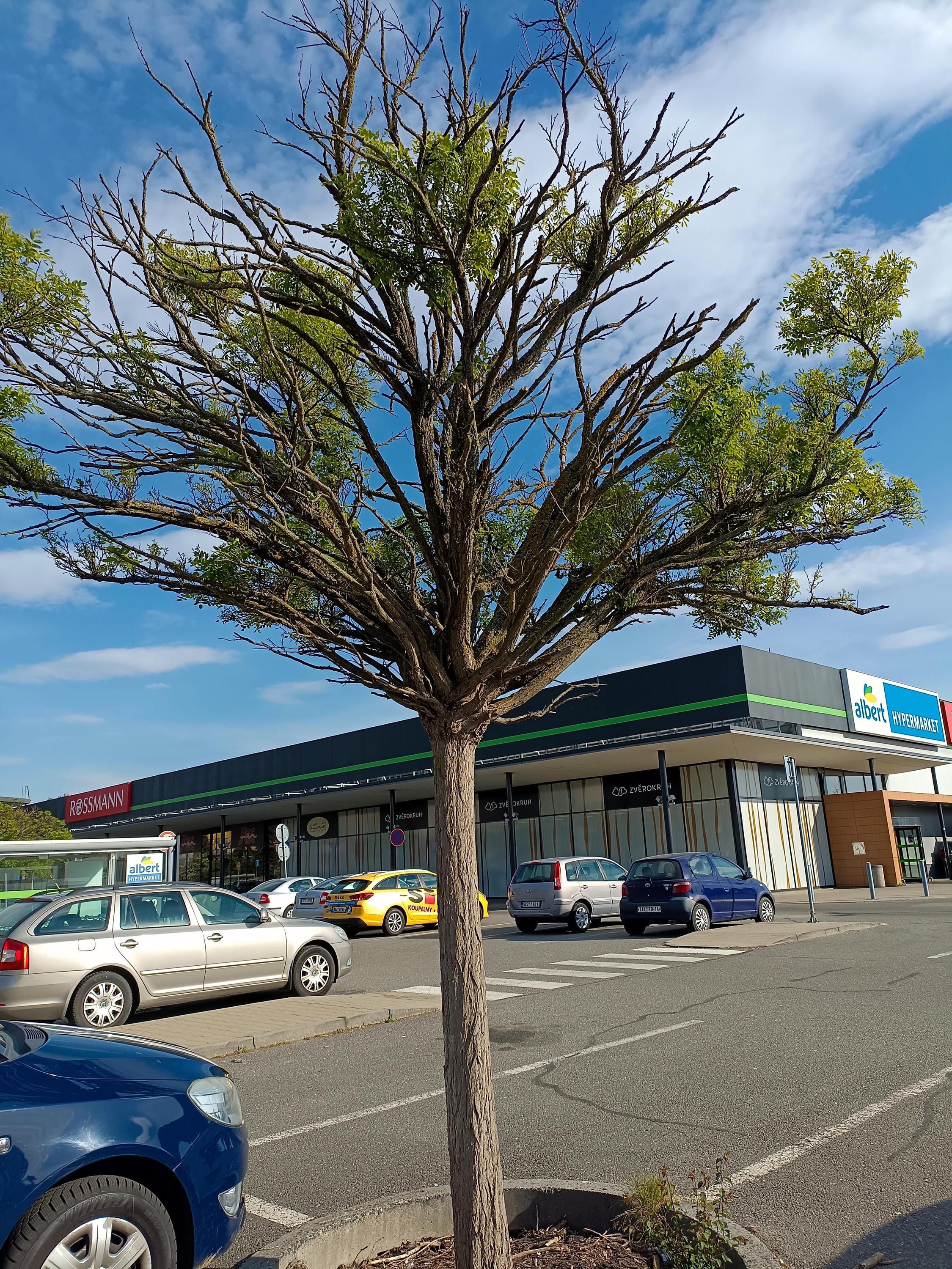 Albert Hypermarket foto 4