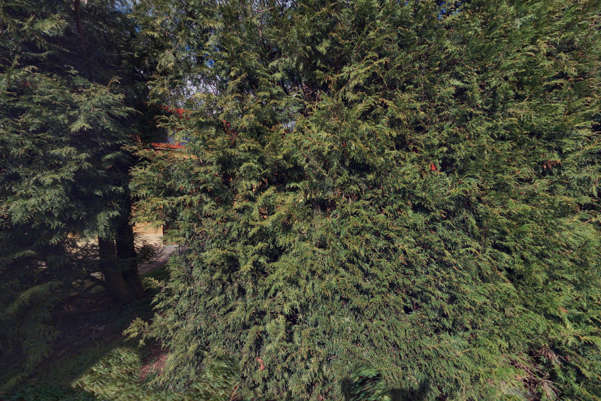 Koupaliště Chudeřice