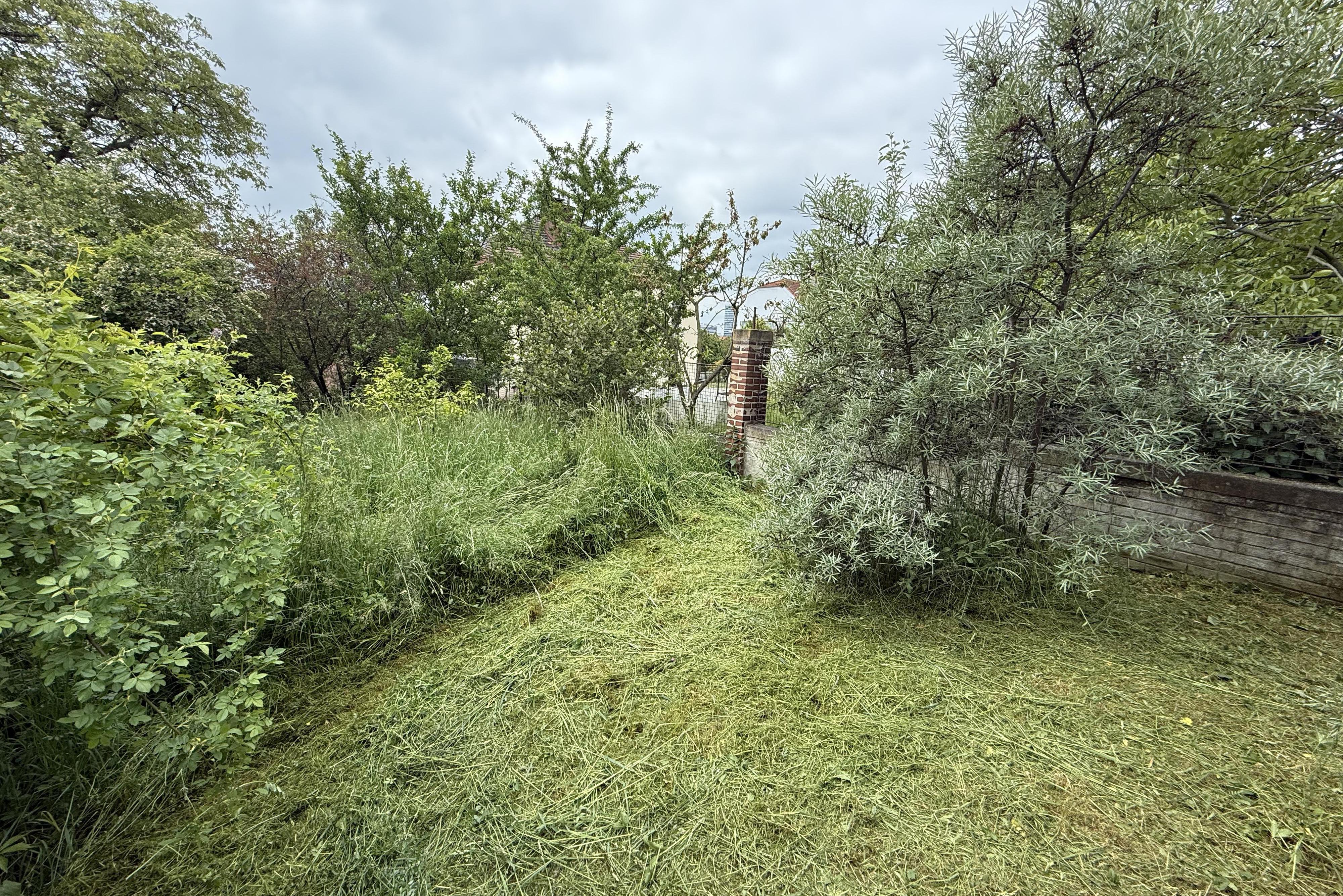 Sekání trávy Jan Laurin foto 1