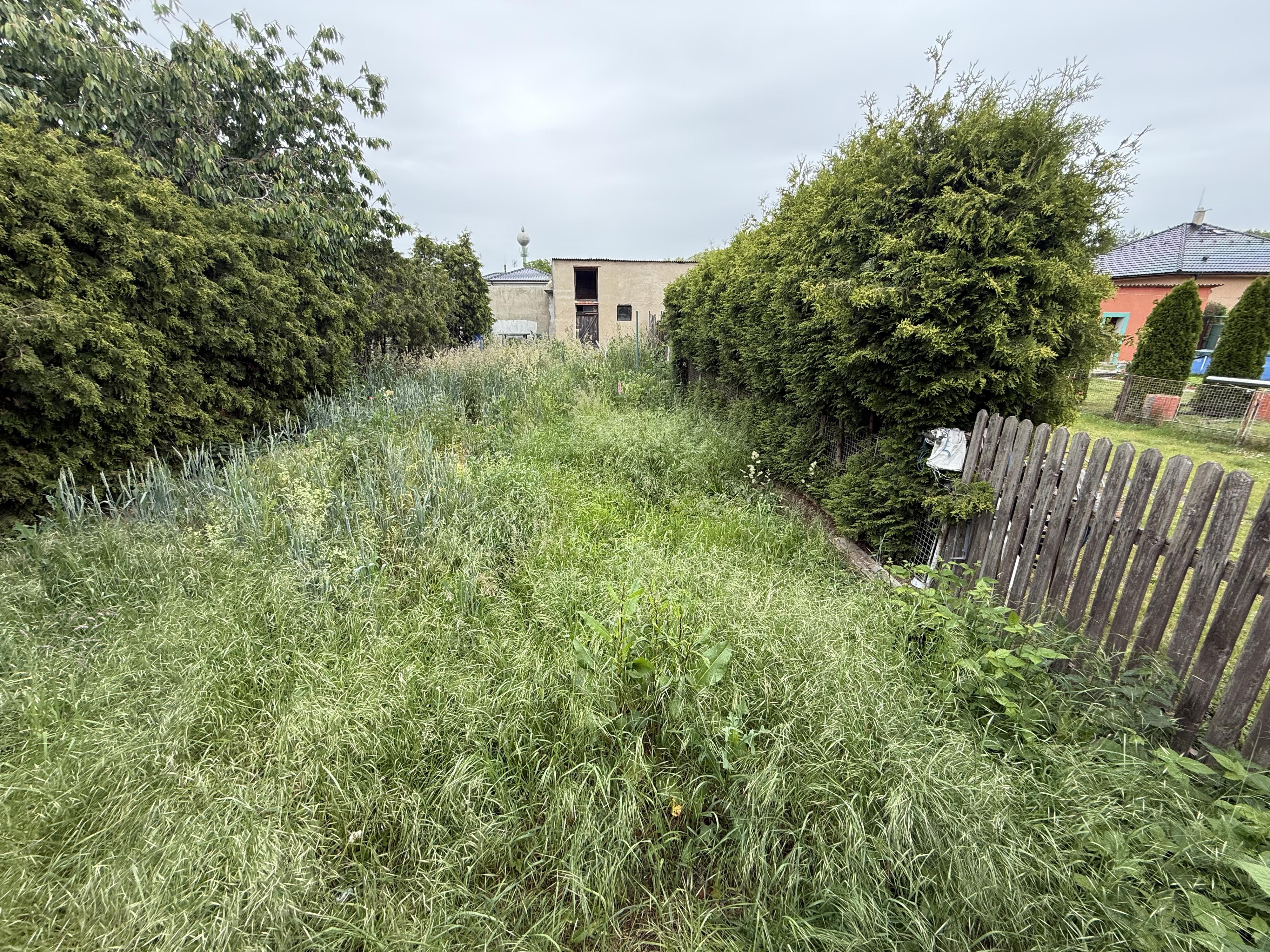 Sekání trávy Jan Laurin foto 3