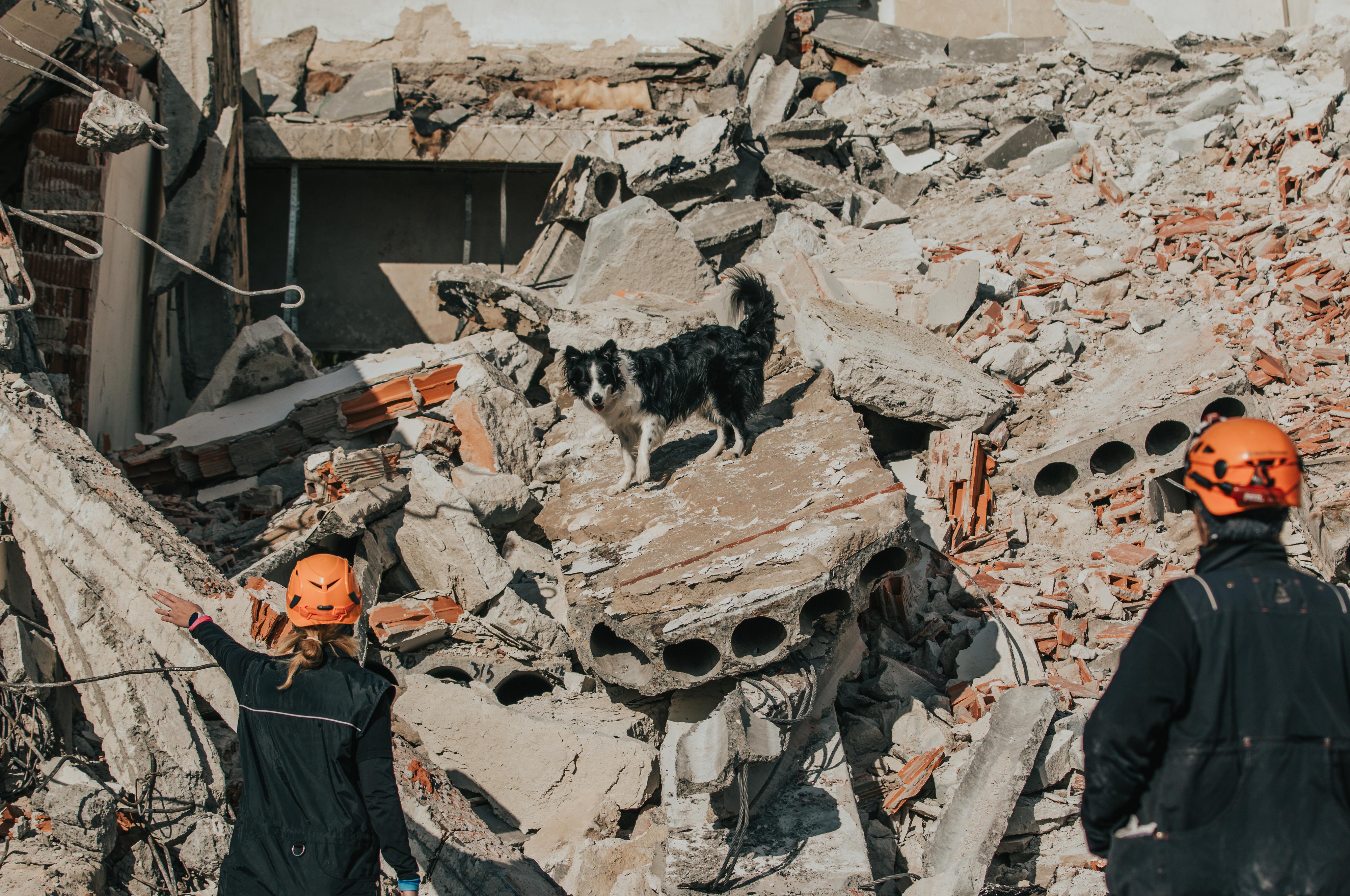 BARKING DOGS CZ, z.s.