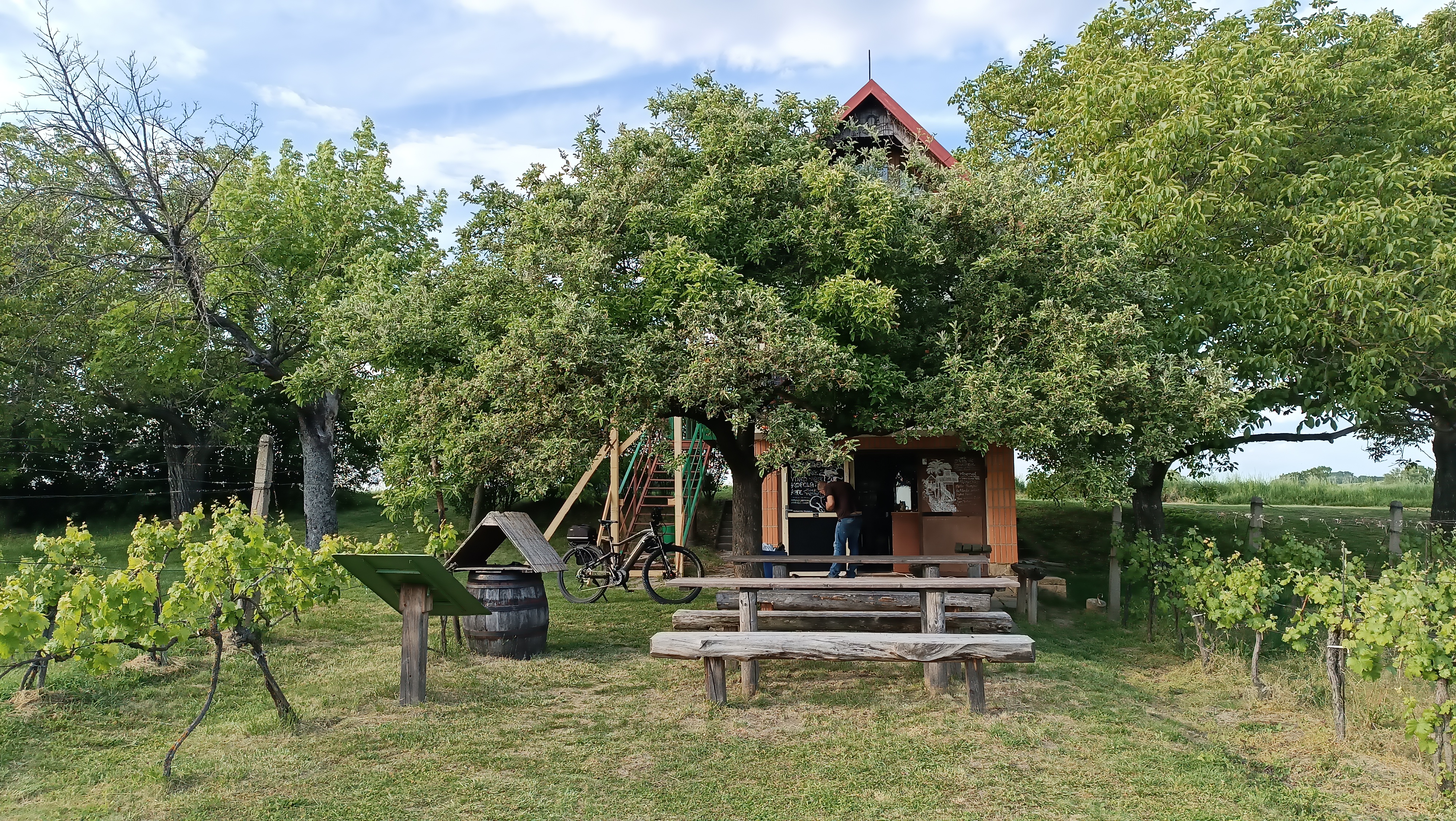 Letní občerstvení U OSKORUŠE