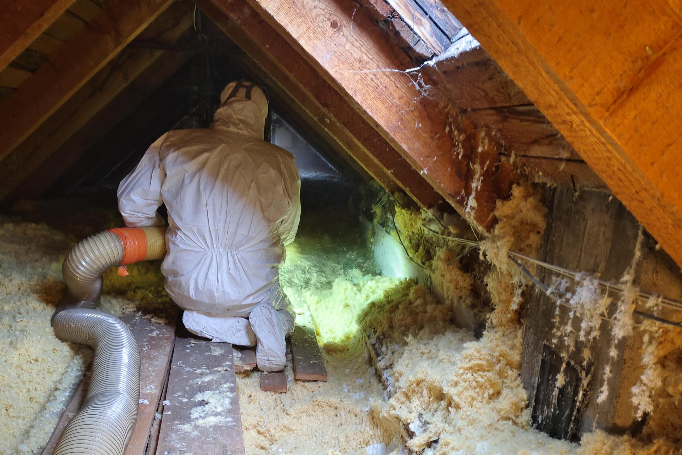 Marek Klementa - Foukaná izolace Olomouc spol. s r. o. foto 3