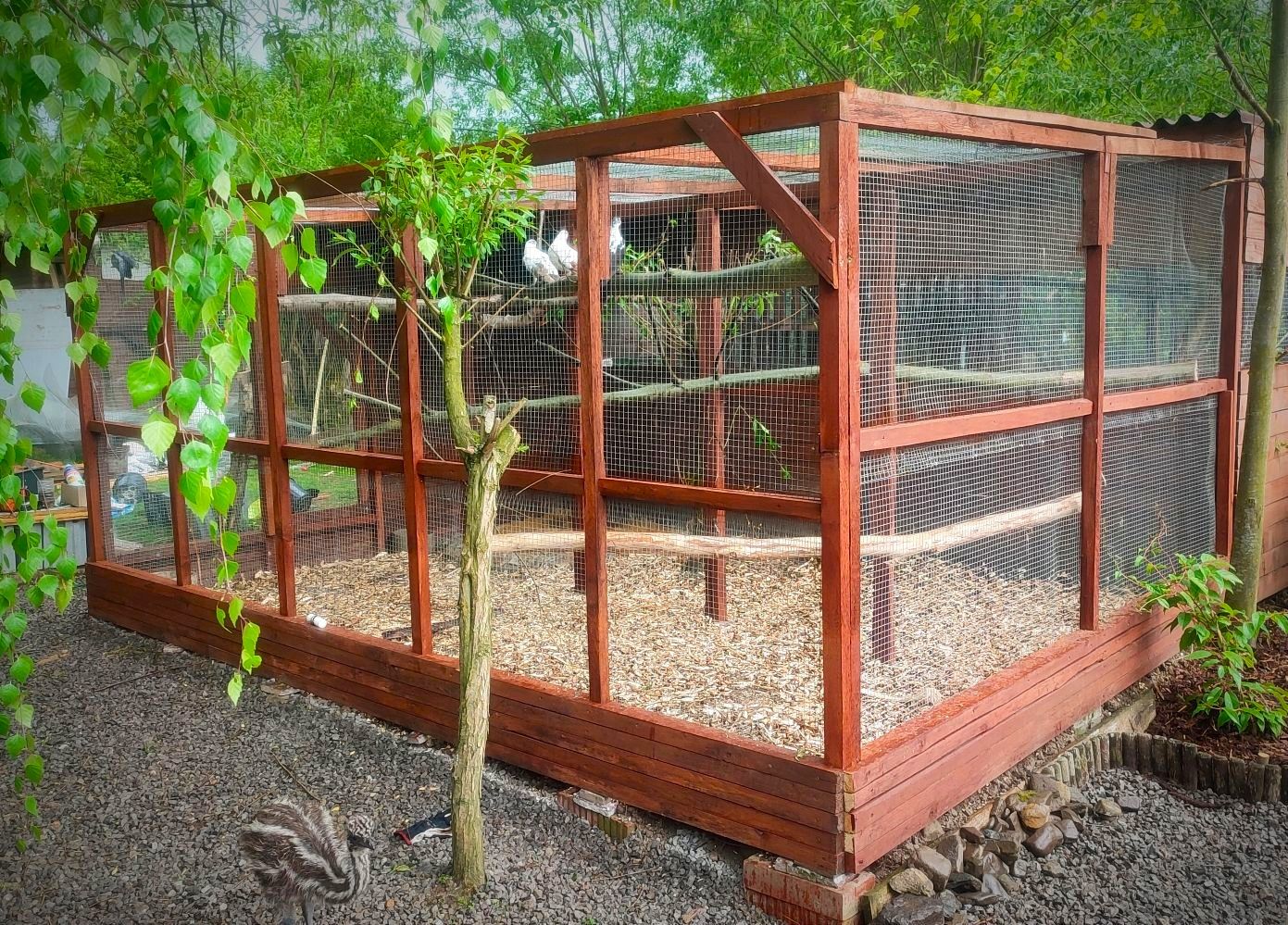 Azyl zvířat & FaunaPark Blondies MiniZOO foto 2