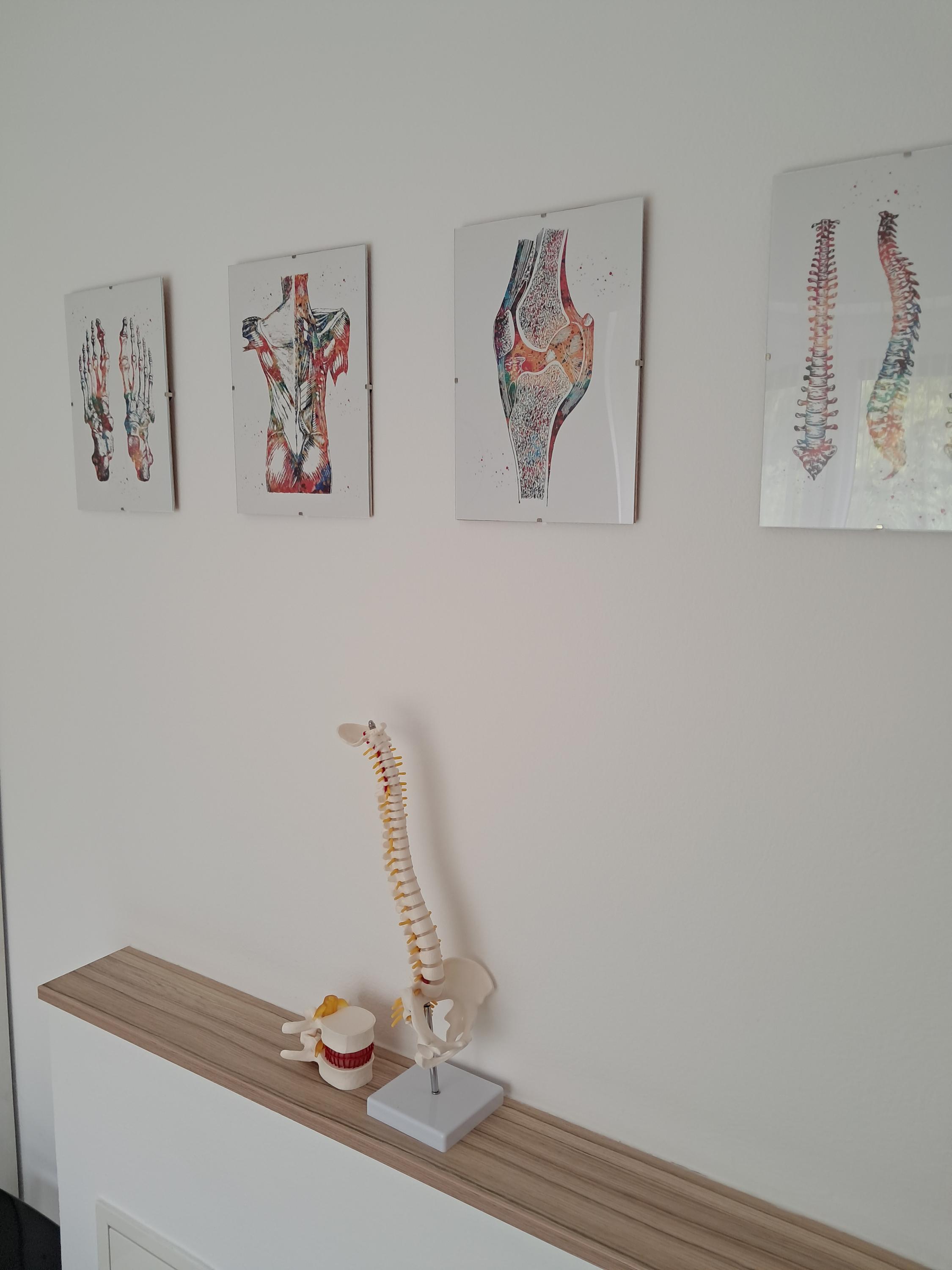 NZZ Fyzioterapie  Bc. Alena Blovská