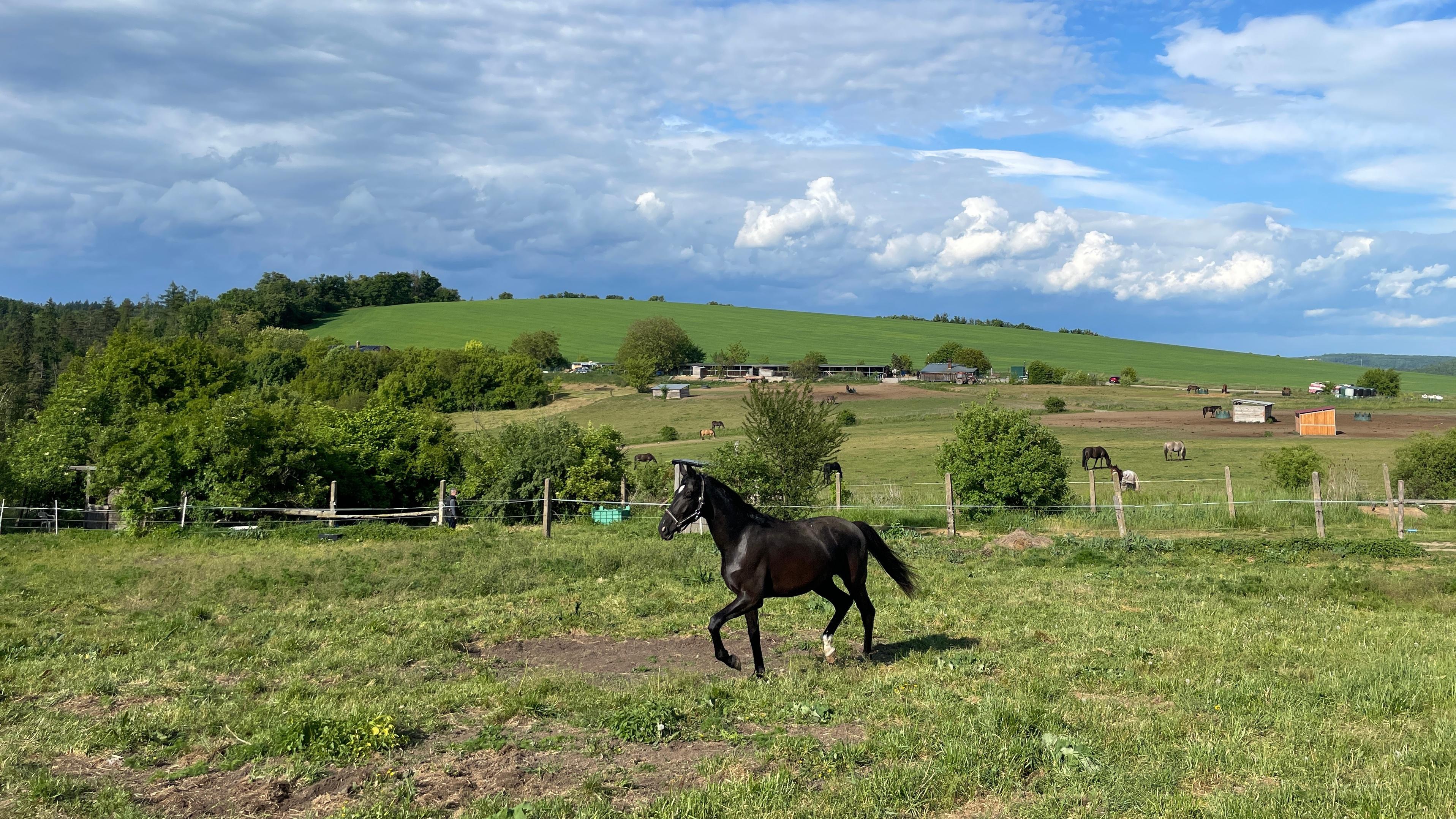 Ranč pod lesem foto 2
