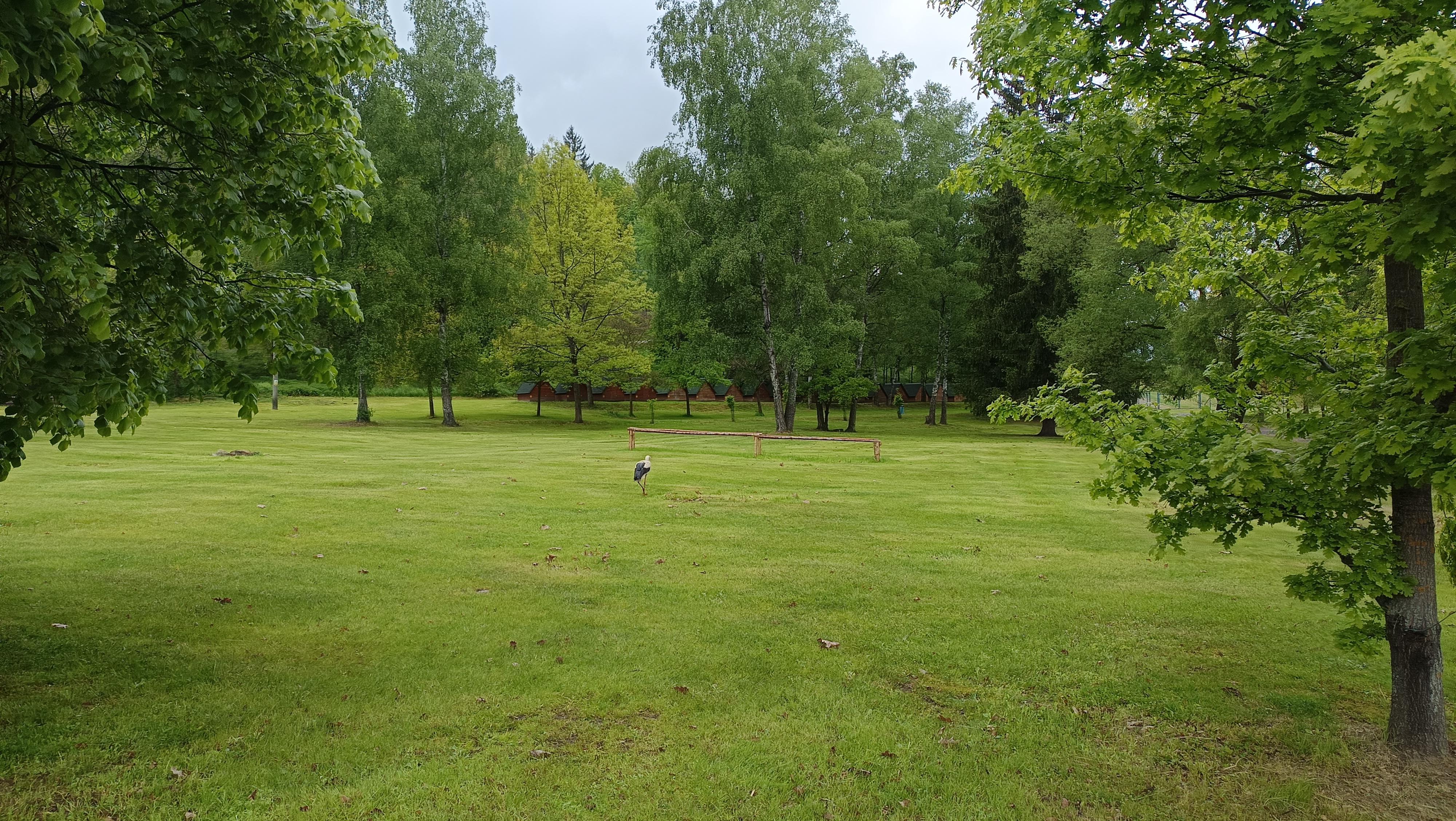 Stellplatz - Kemp Pod Hrází foto 4