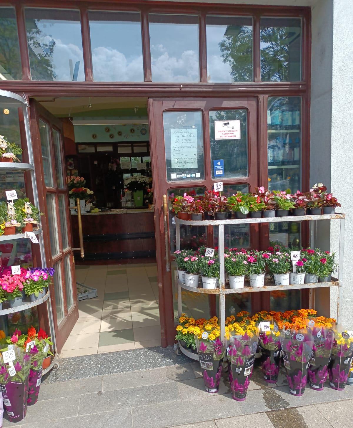 Květiny Olšany - Pavel Šticha foto 3