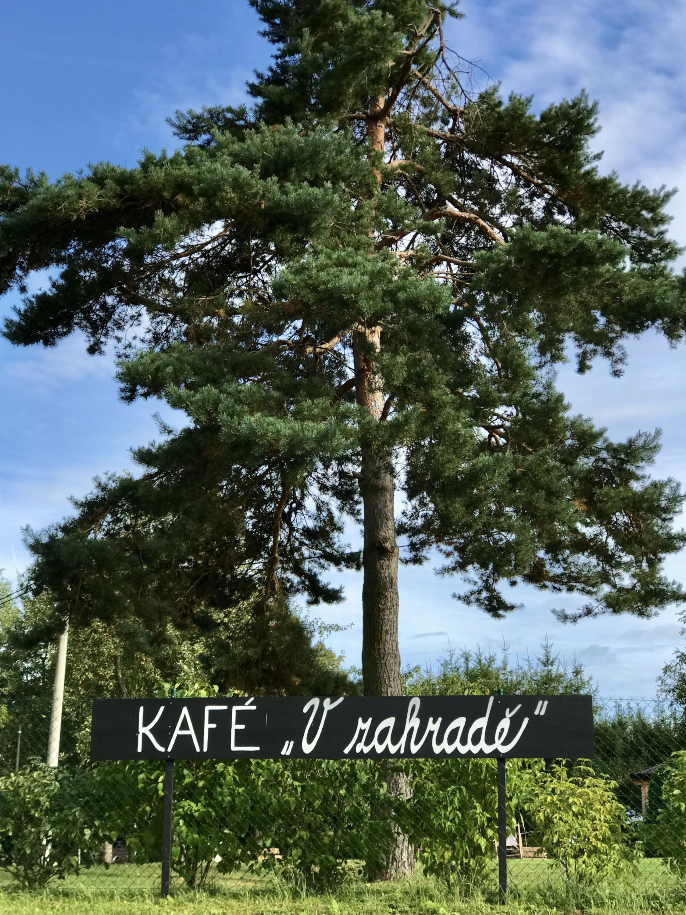 KAFÉ "V zahradě"