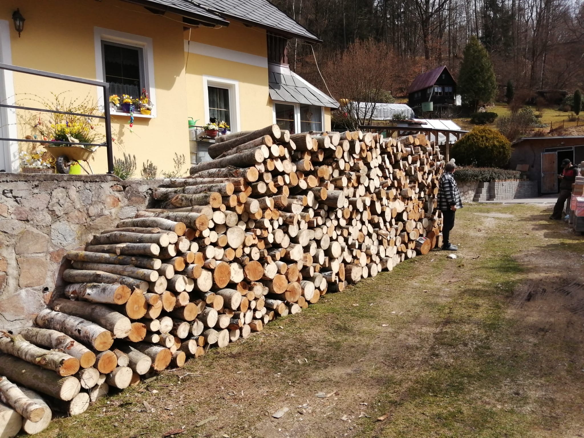Lesní a parkové služby Chvojkovi foto 2