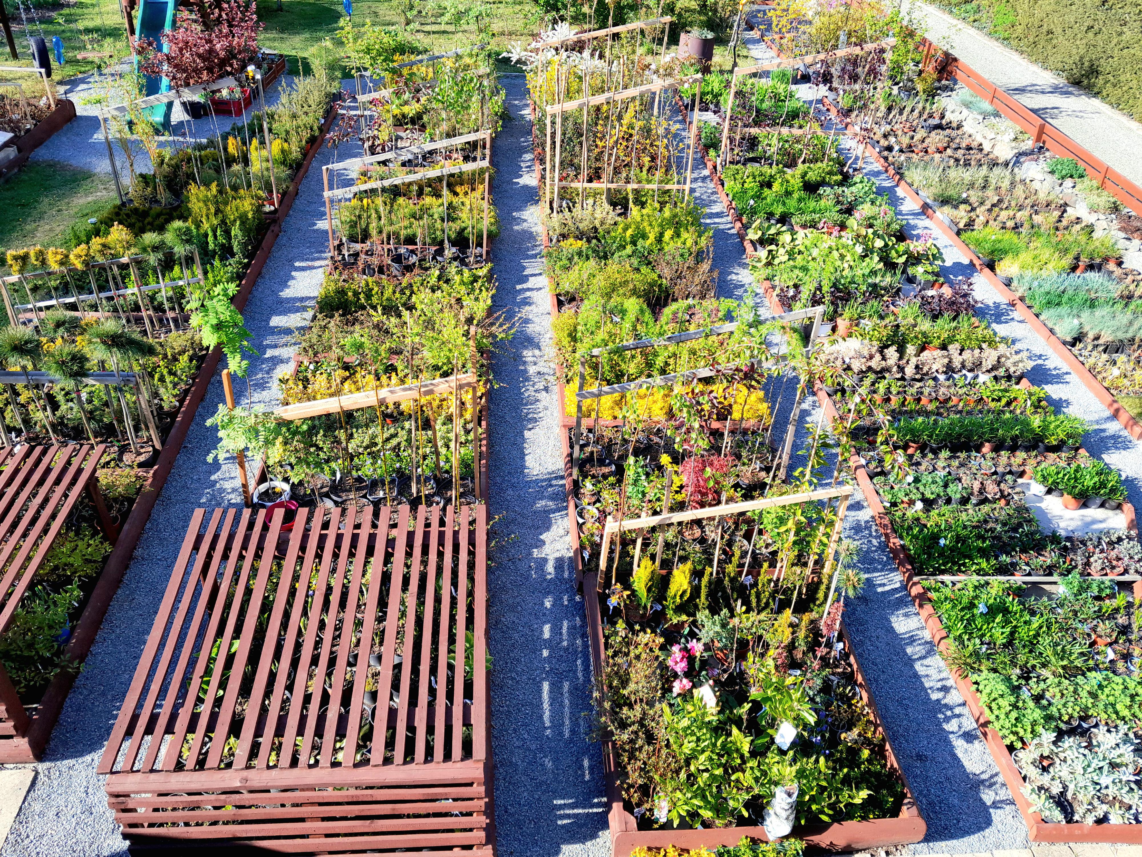 Zahradnická večerka Suchý - Miloš Trefný foto 5