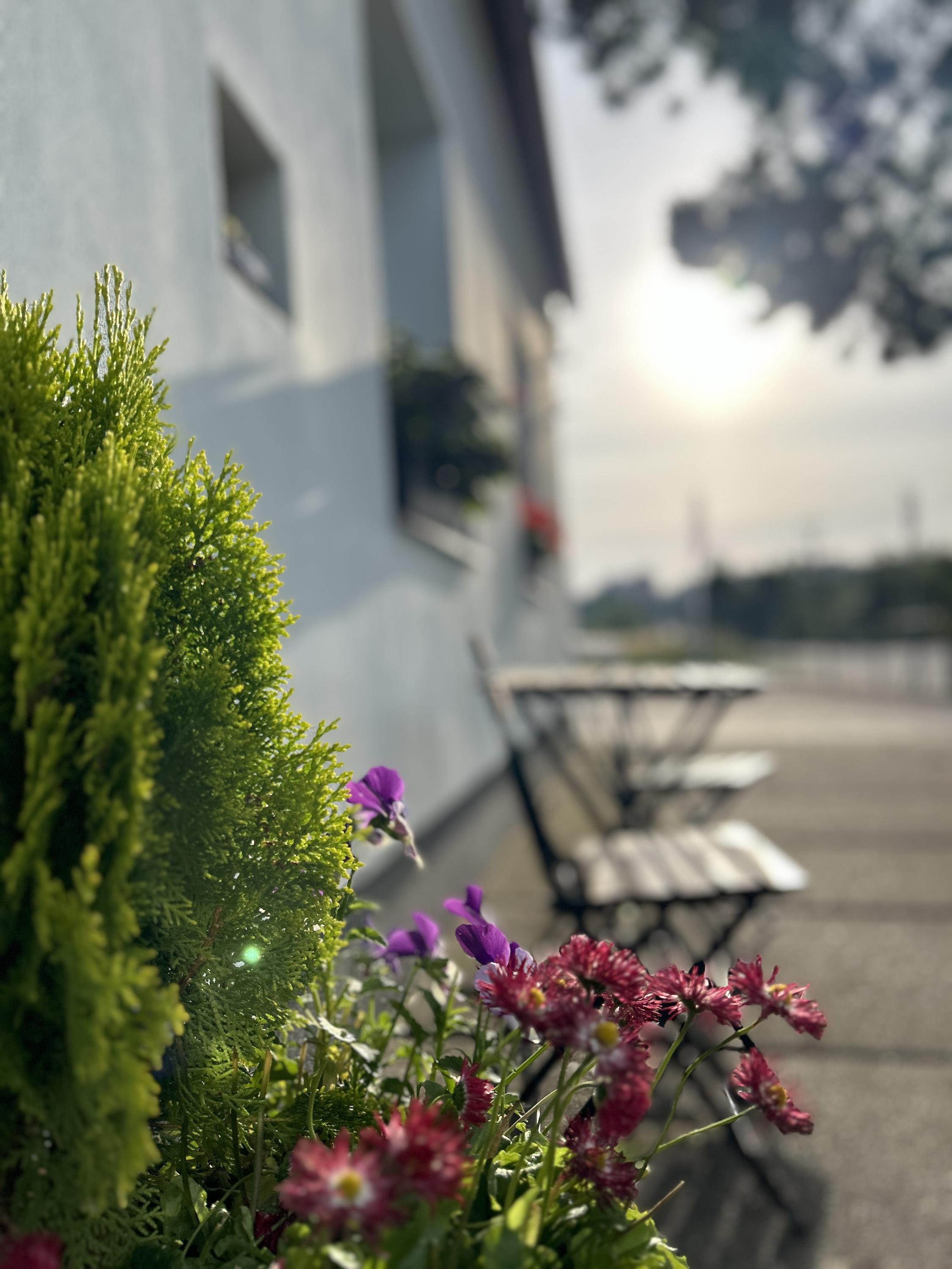 Českoskalické vodárny, s.r.o. foto 6