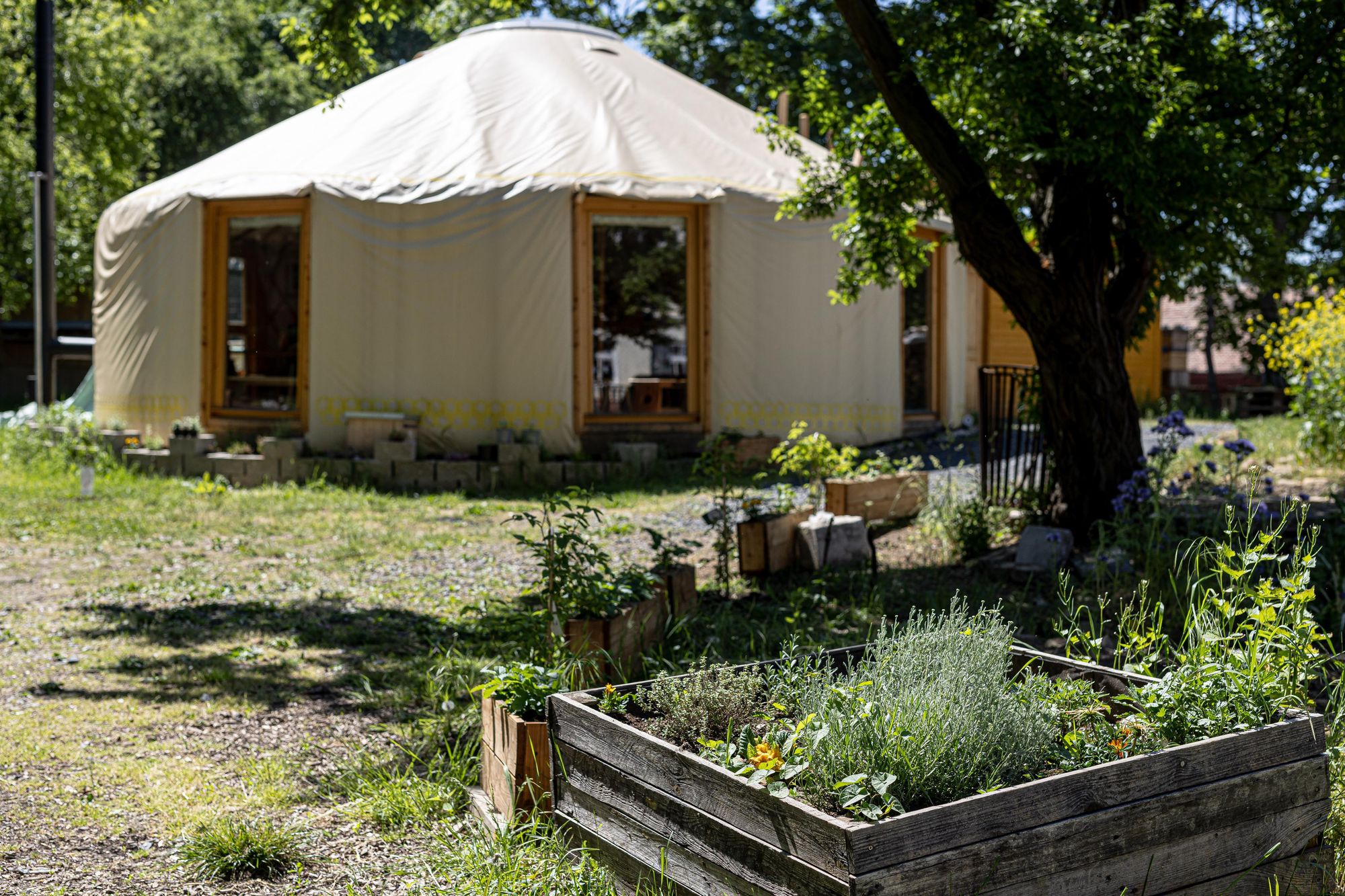 VČELÍ KRUHOVÉ CENTRUM STOLIŇ foto 4