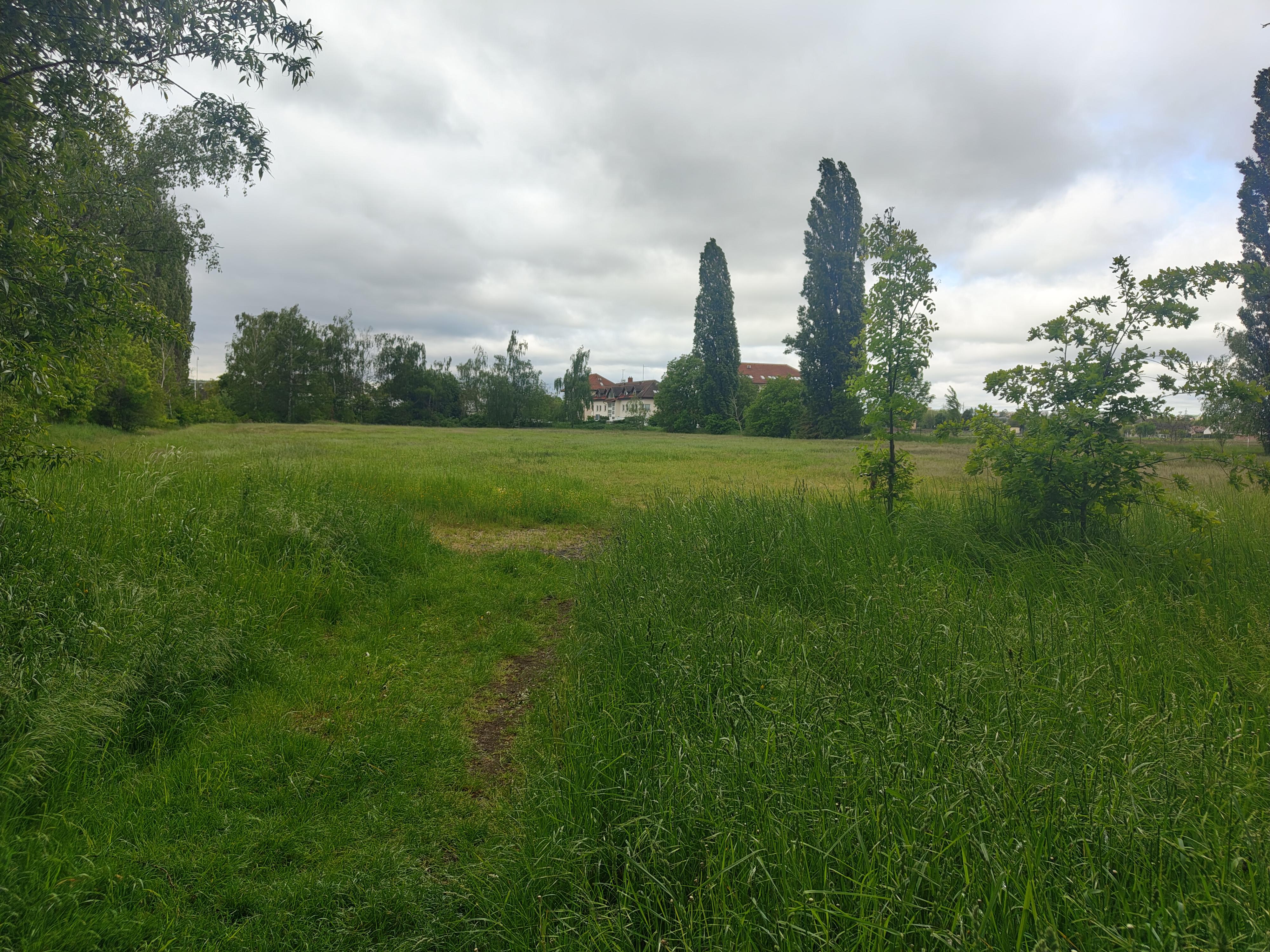 Sportoviště Janderov